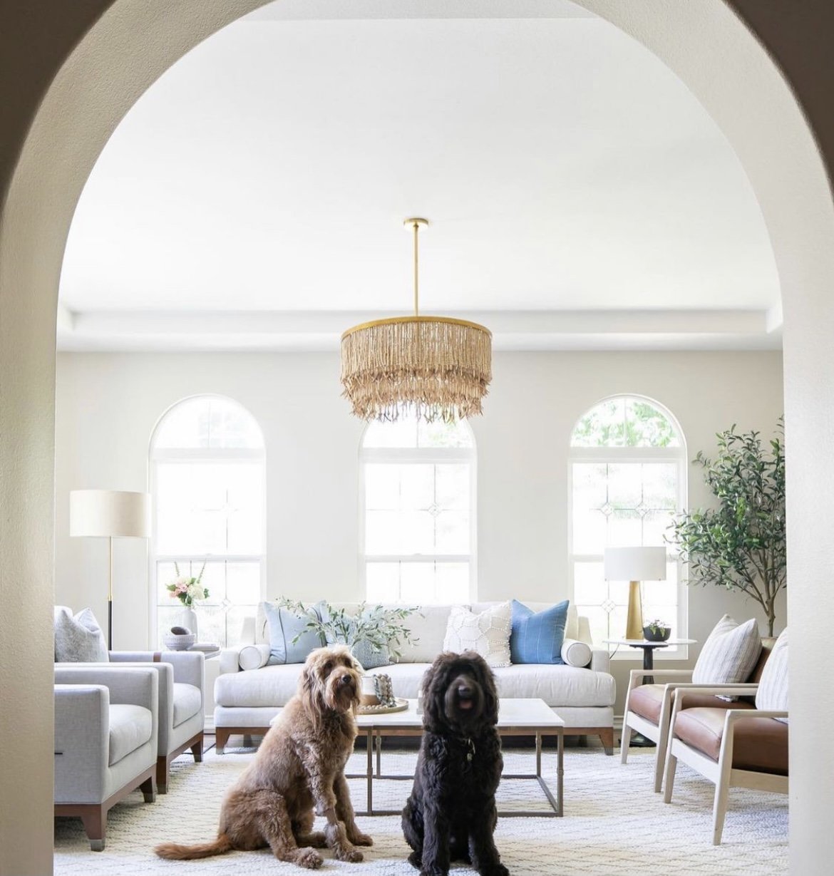 Bozorgi pics -21.jpg