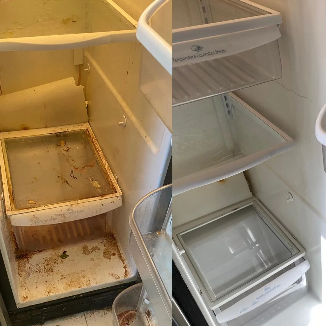 2fridge_cleaning.jpg