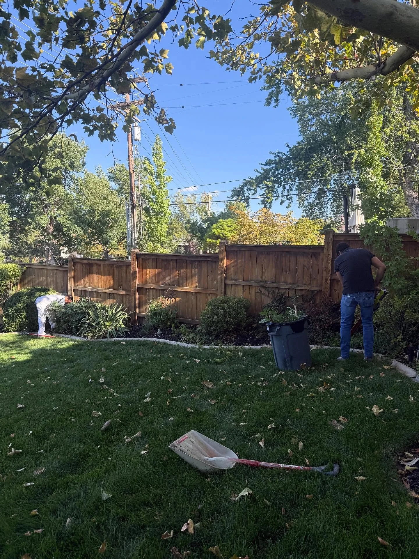 Yard cleanups are something we love to do, especially during the messy time of the year. Book your next budget friendly cleanup with us!