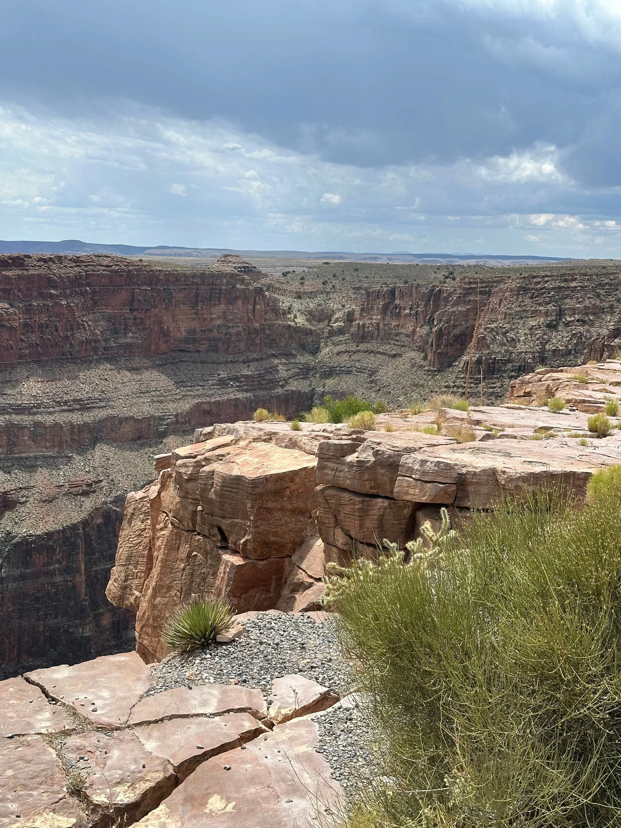 View of the Grand Canyon with rocky foreground, sparse desert vegetation, and cloudy sky.