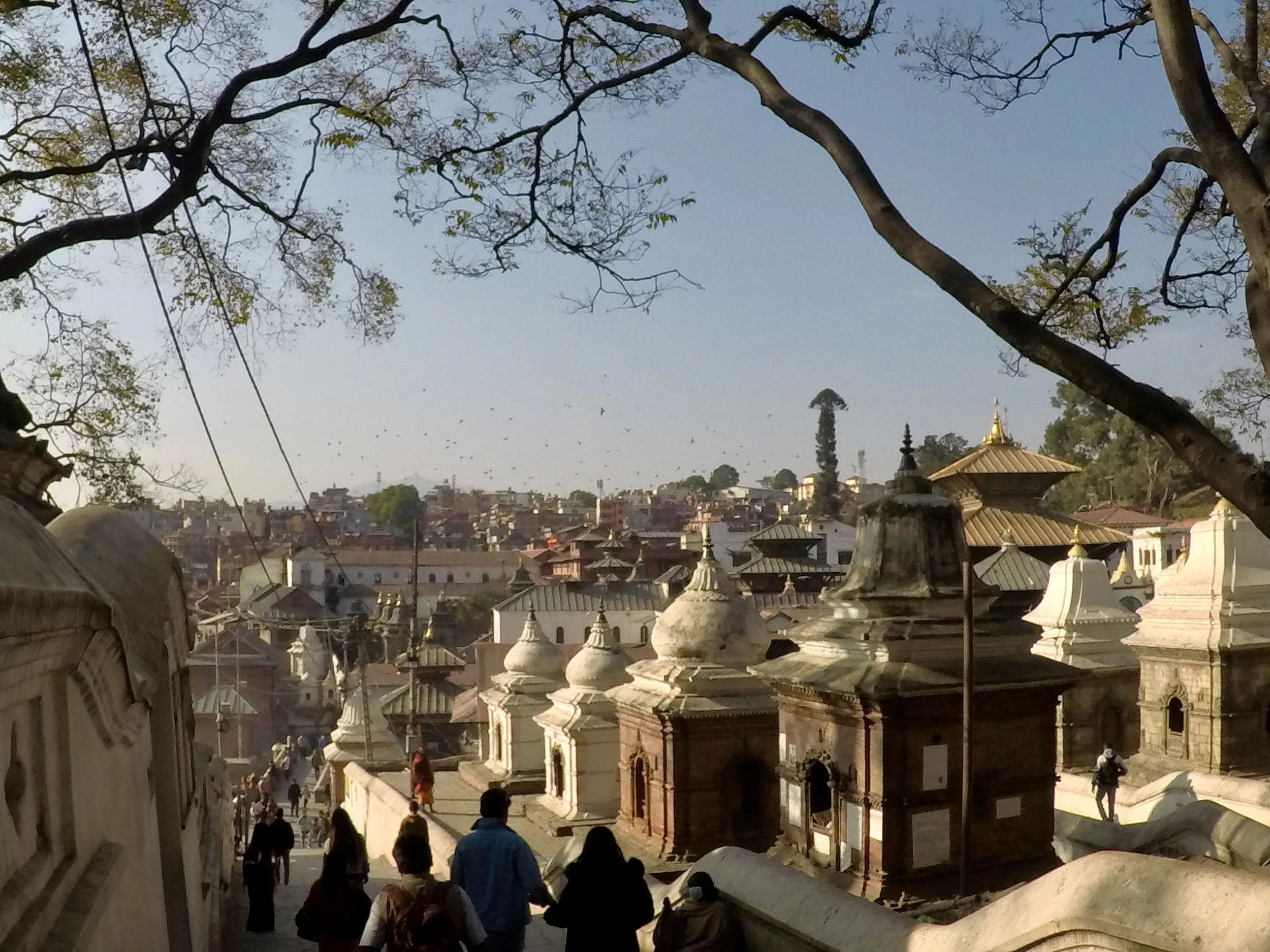 People walking down steps among ancient temple structures with golden roofs, set against a cityscape and a clear sky.