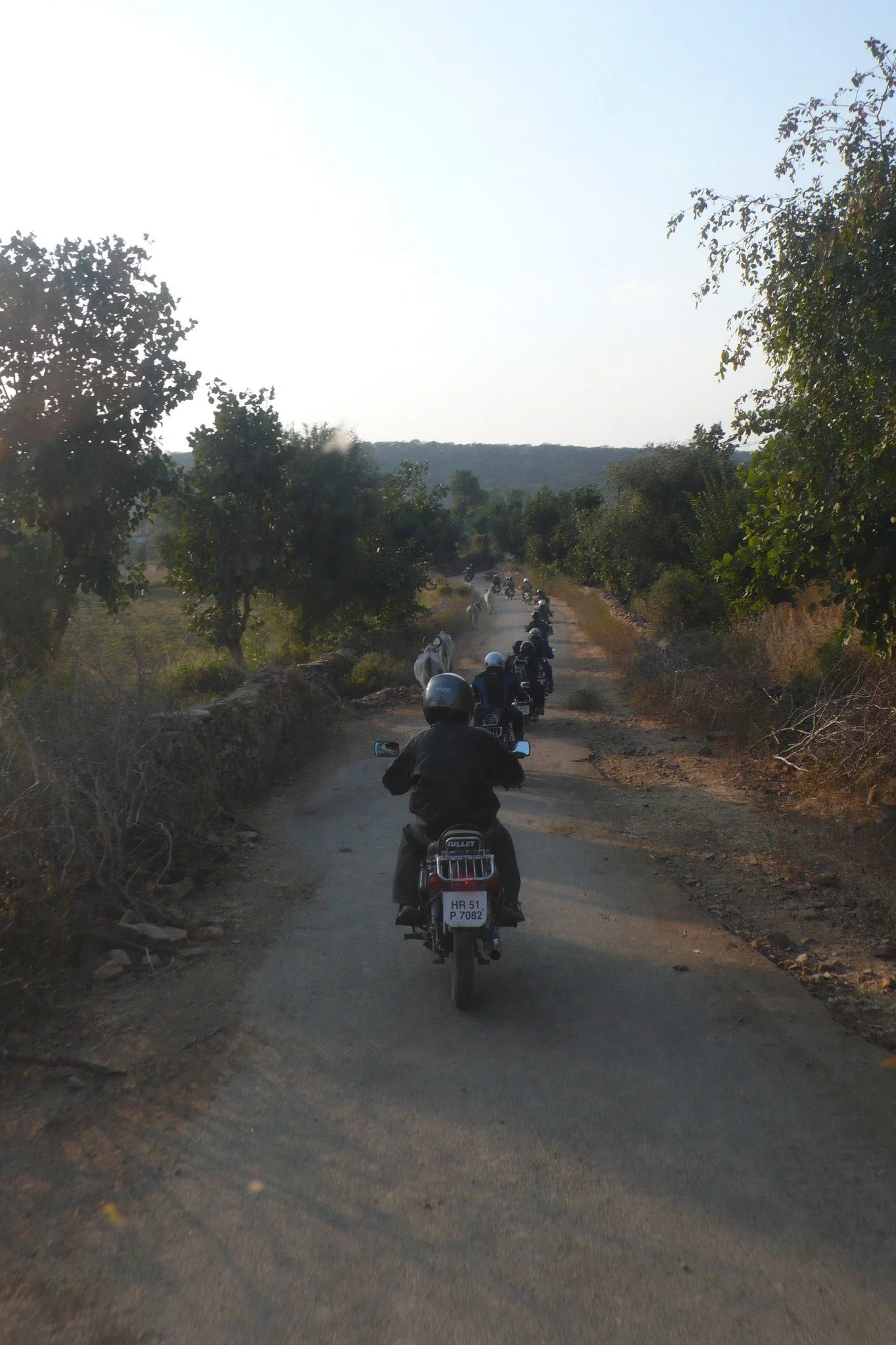 A line of motorcyclists riding along a narrow, unpaved dirt road through a rural area with trees on both sides.