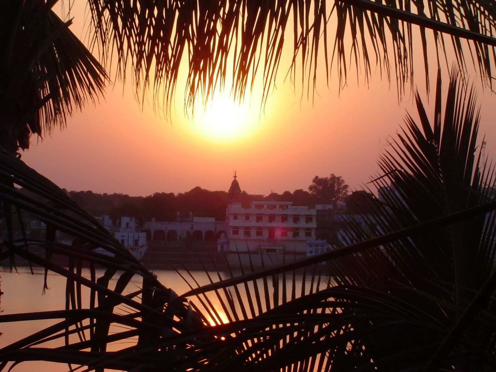 Copy of DSC00770.JPG