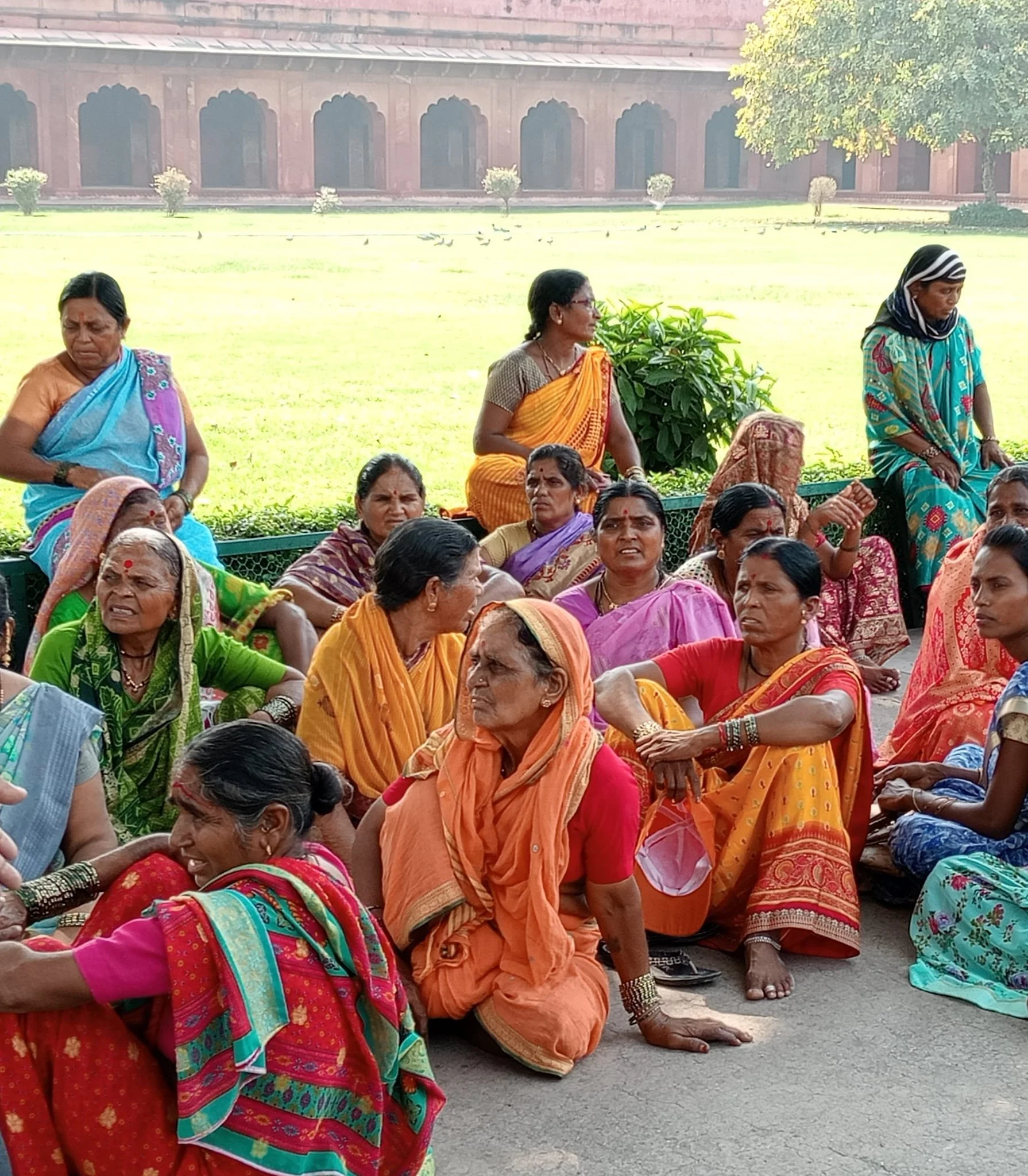 Group of Indian women sitting and standing in a park with green grass and trees, dressed in colorful traditional sarees.