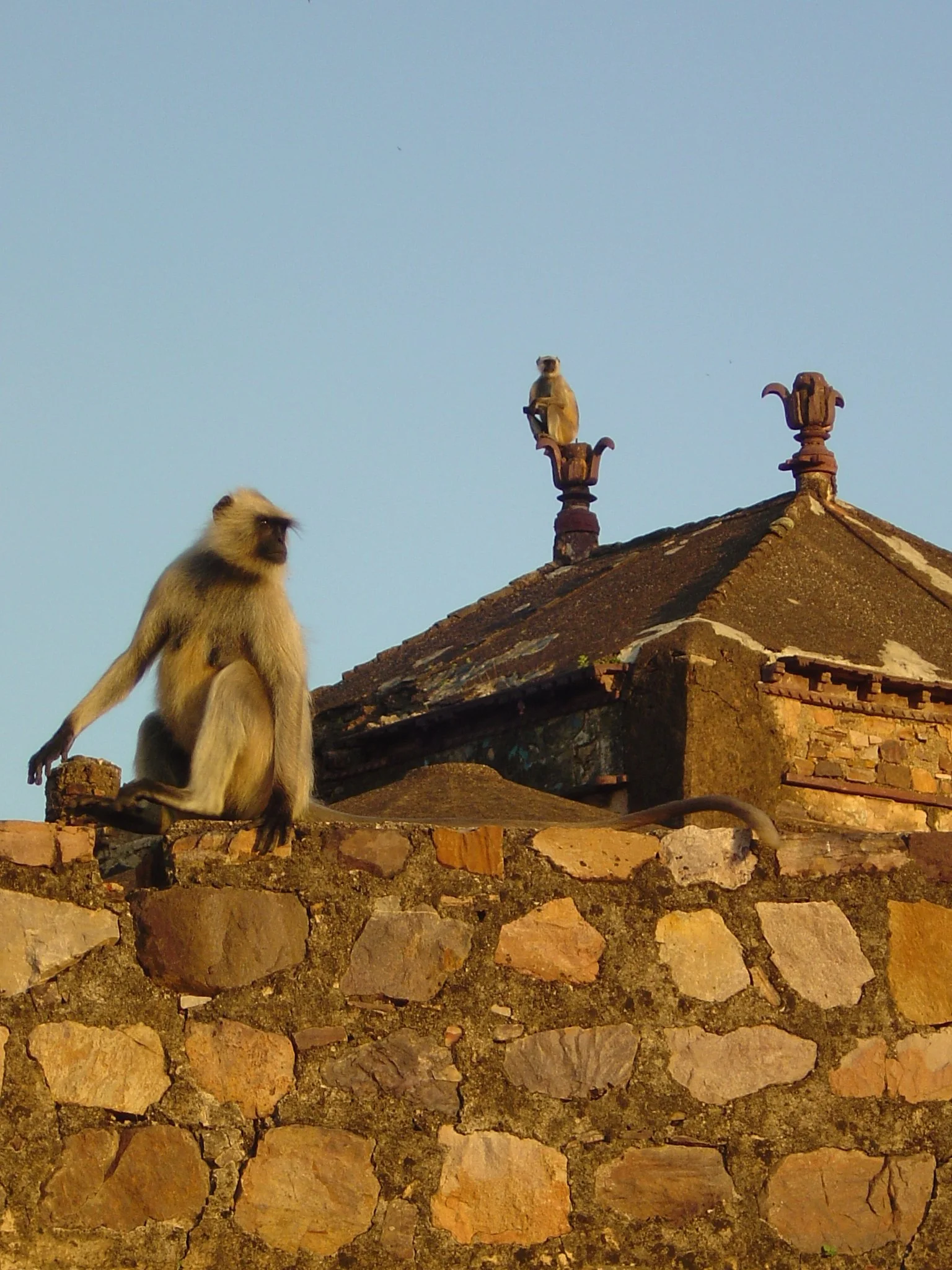 Copy of DSC00074.JPG