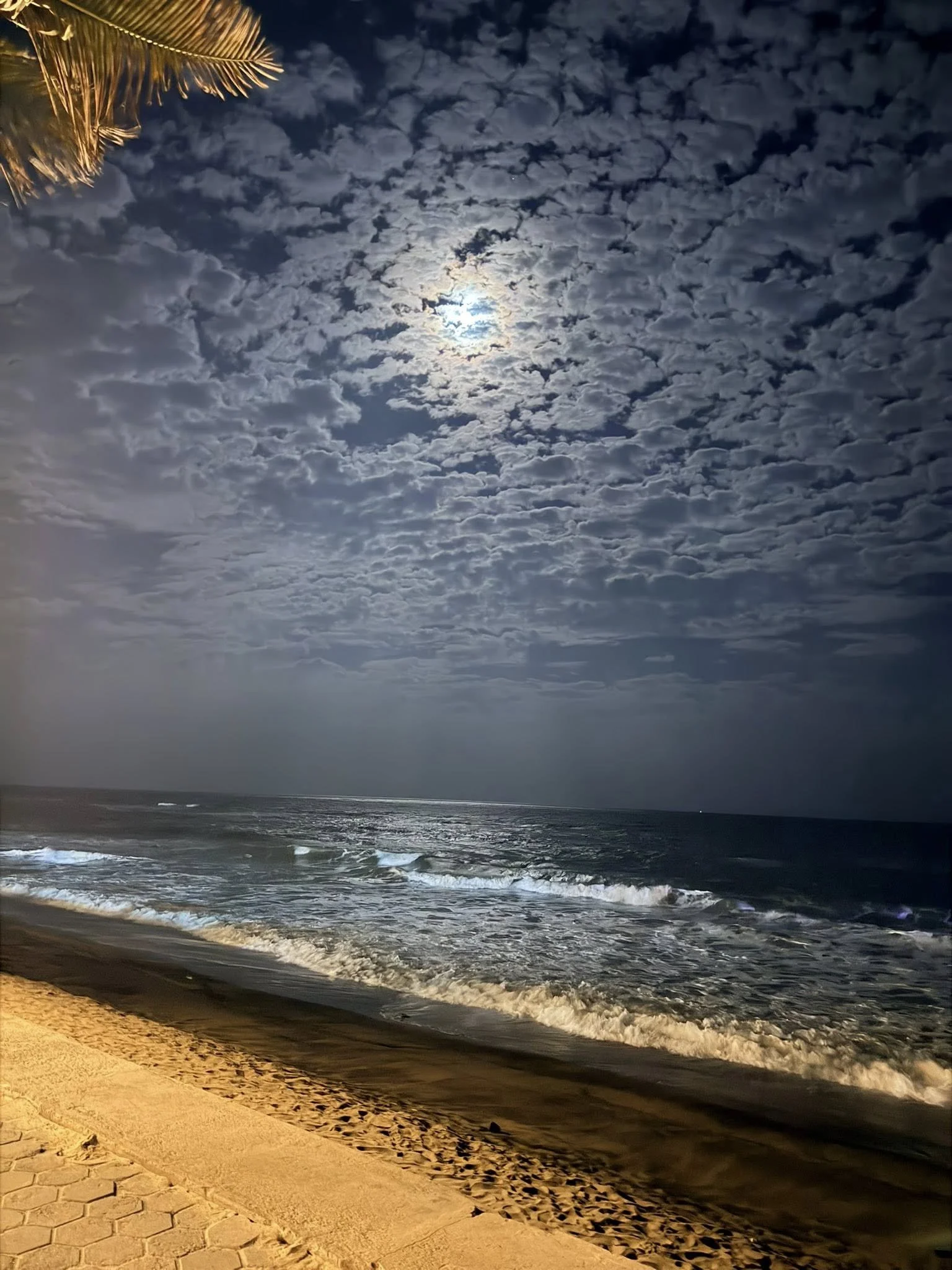 Nighttime scene of the moon partially obscured by clouds over a beach, with waves crashing on the shore and a palm tree in the upper left corner.