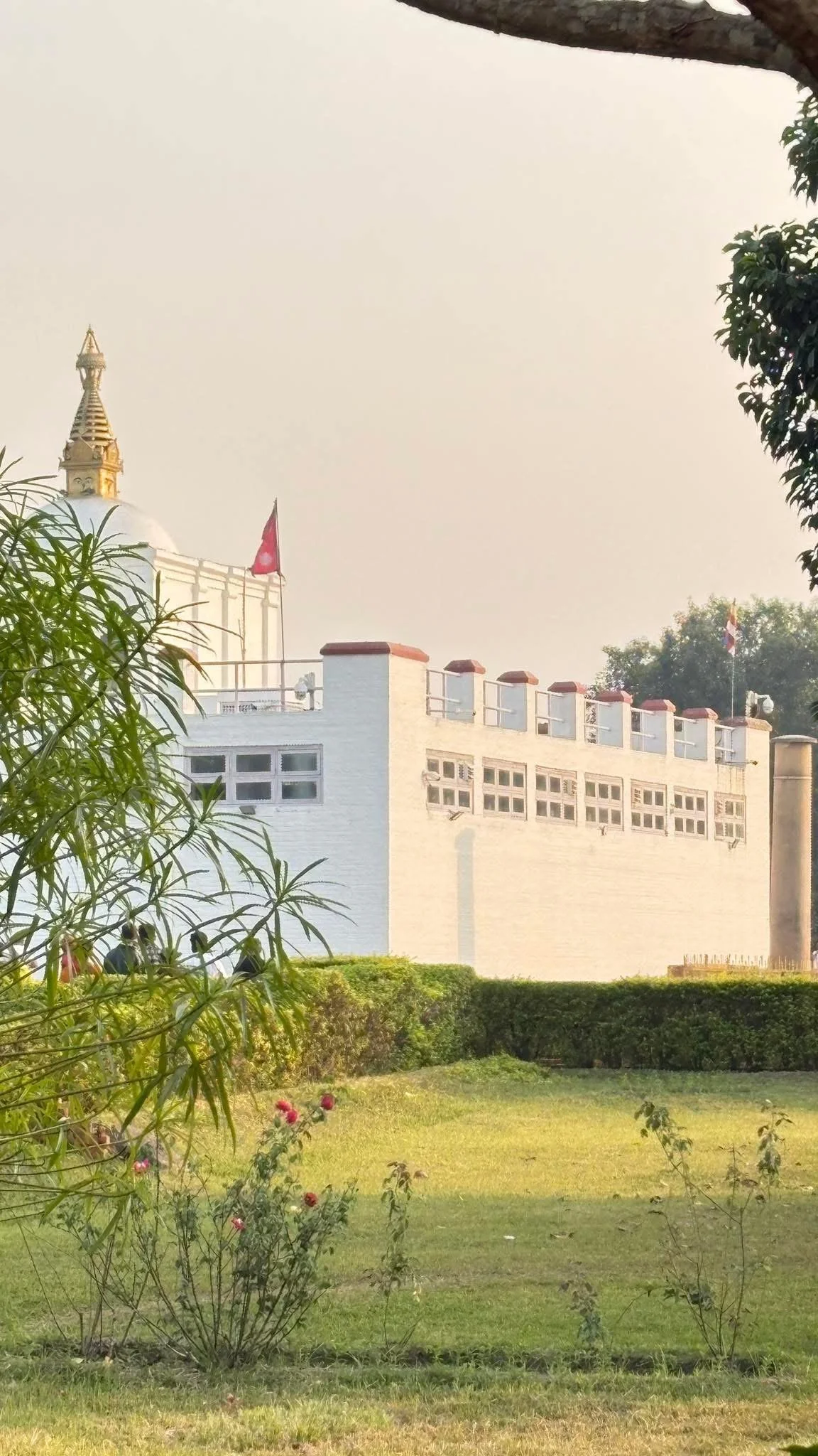 A white building with multiple small windows and a balustrade on top, partially obscured by trees and bushes, with a clear sky background.