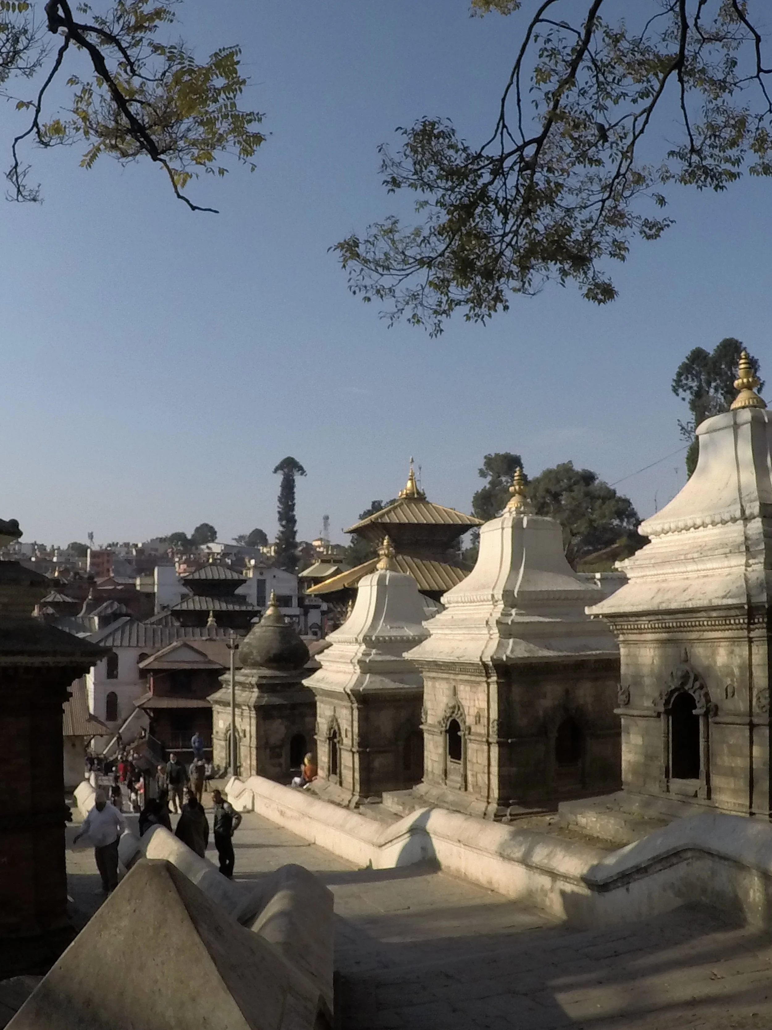 View of a historic temple with white stone architecture and golden rooftops, set against a clear blue sky, with people walking along a stone pathway and trees overhead.