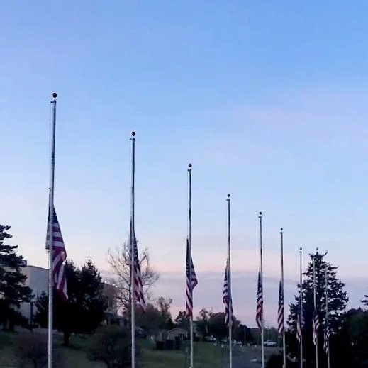 Multiple American flags on flagpoles in a row with trees and a blue sky in the background.