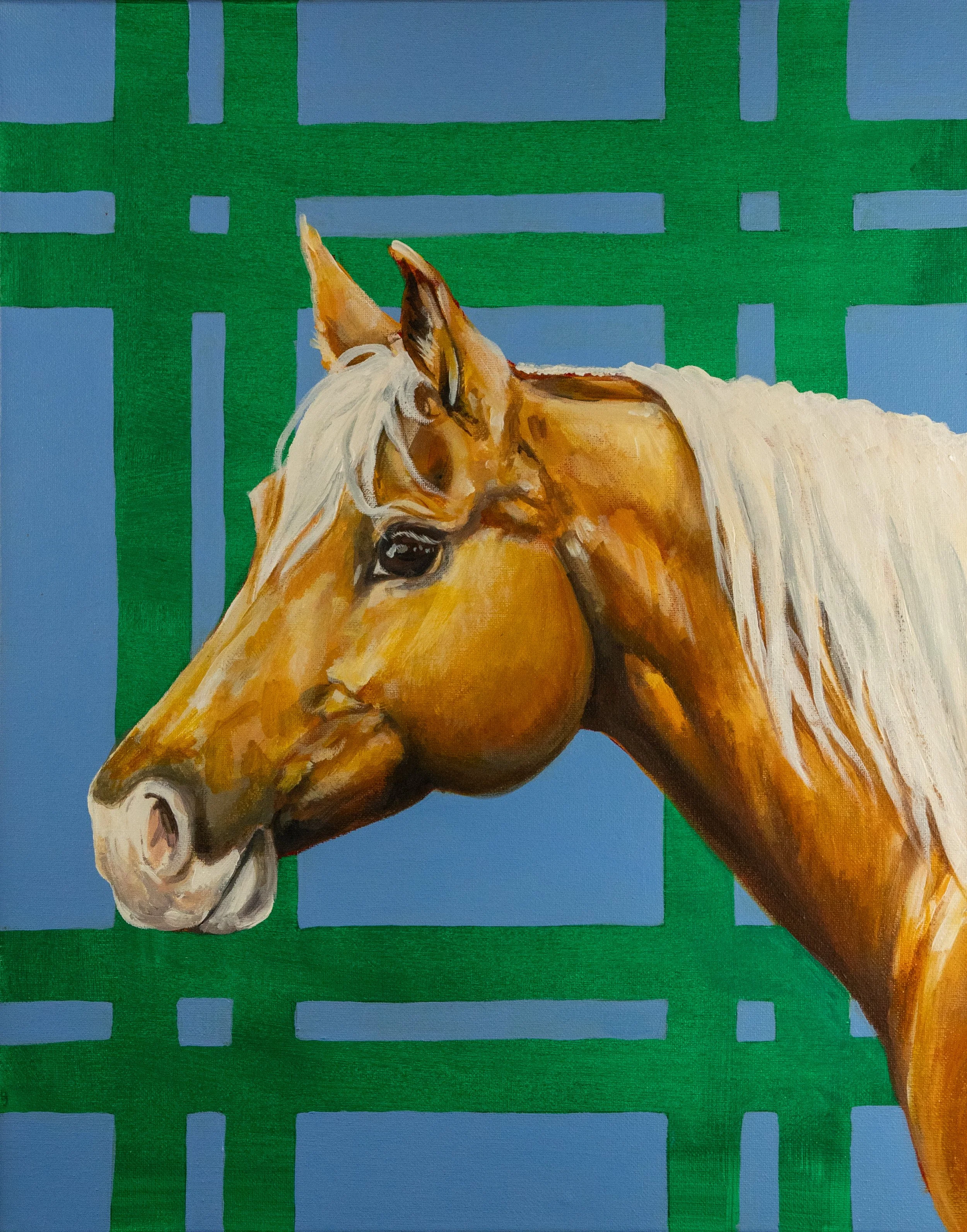 A Boy Called Barbie.jpg