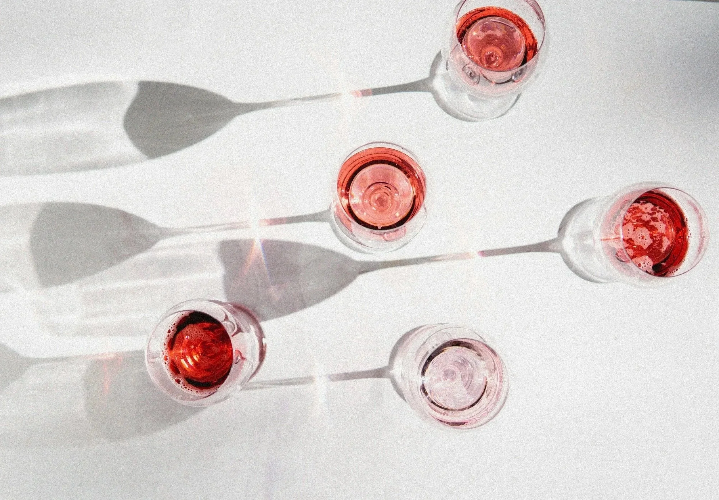 A trip to the Mediterranean Wine Tasting by the Wild Vine