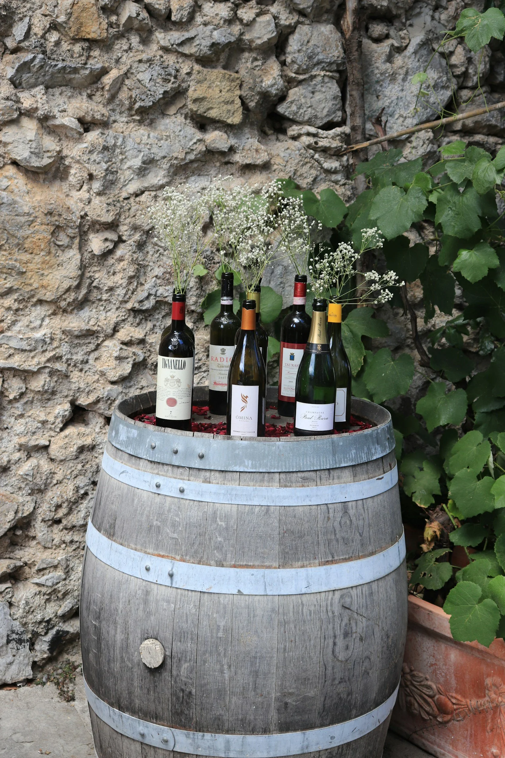 Hidden Italy Wine Tasting Hosted by The Wild Vine