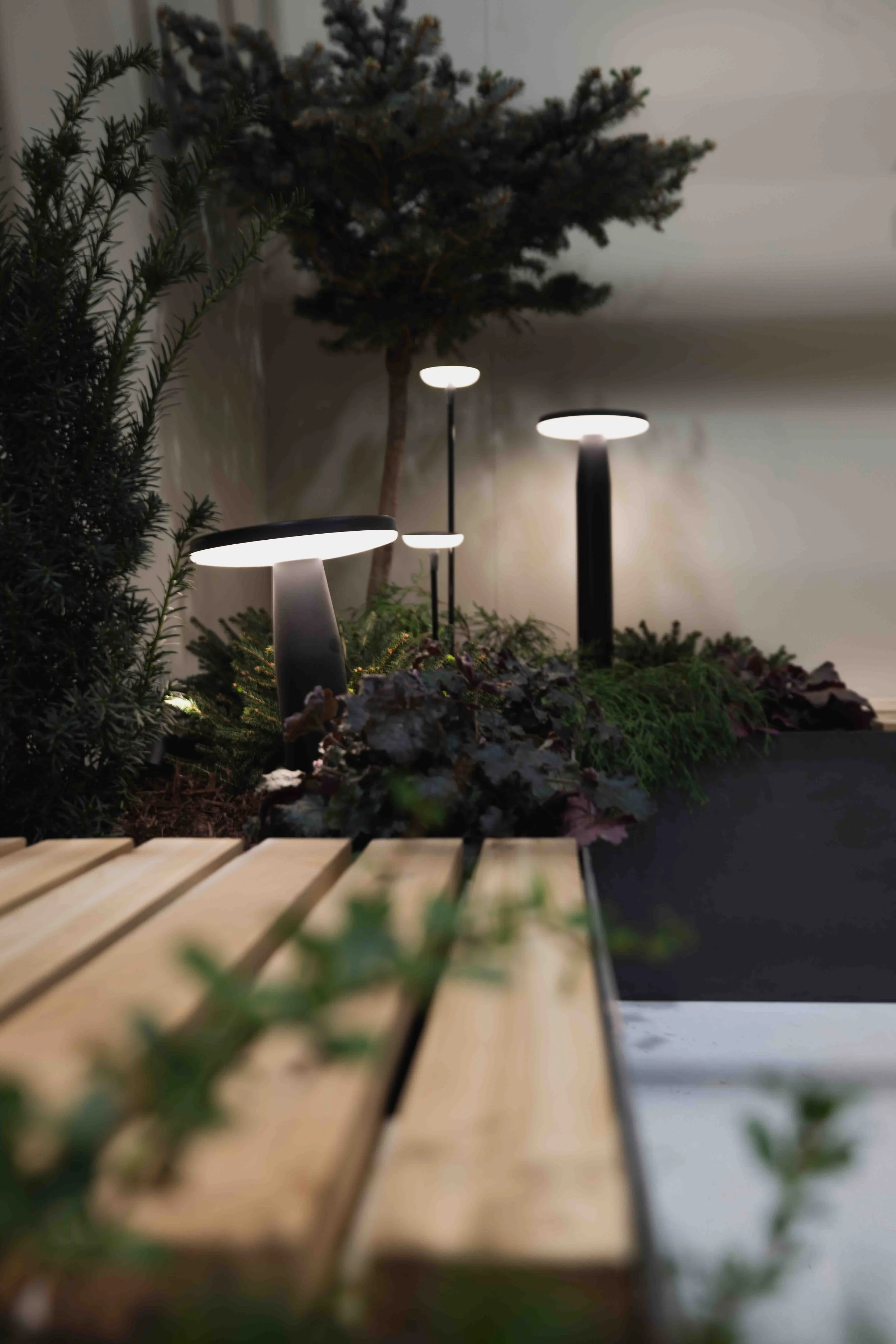 EXPOHABIT_6fev_-333.jpg