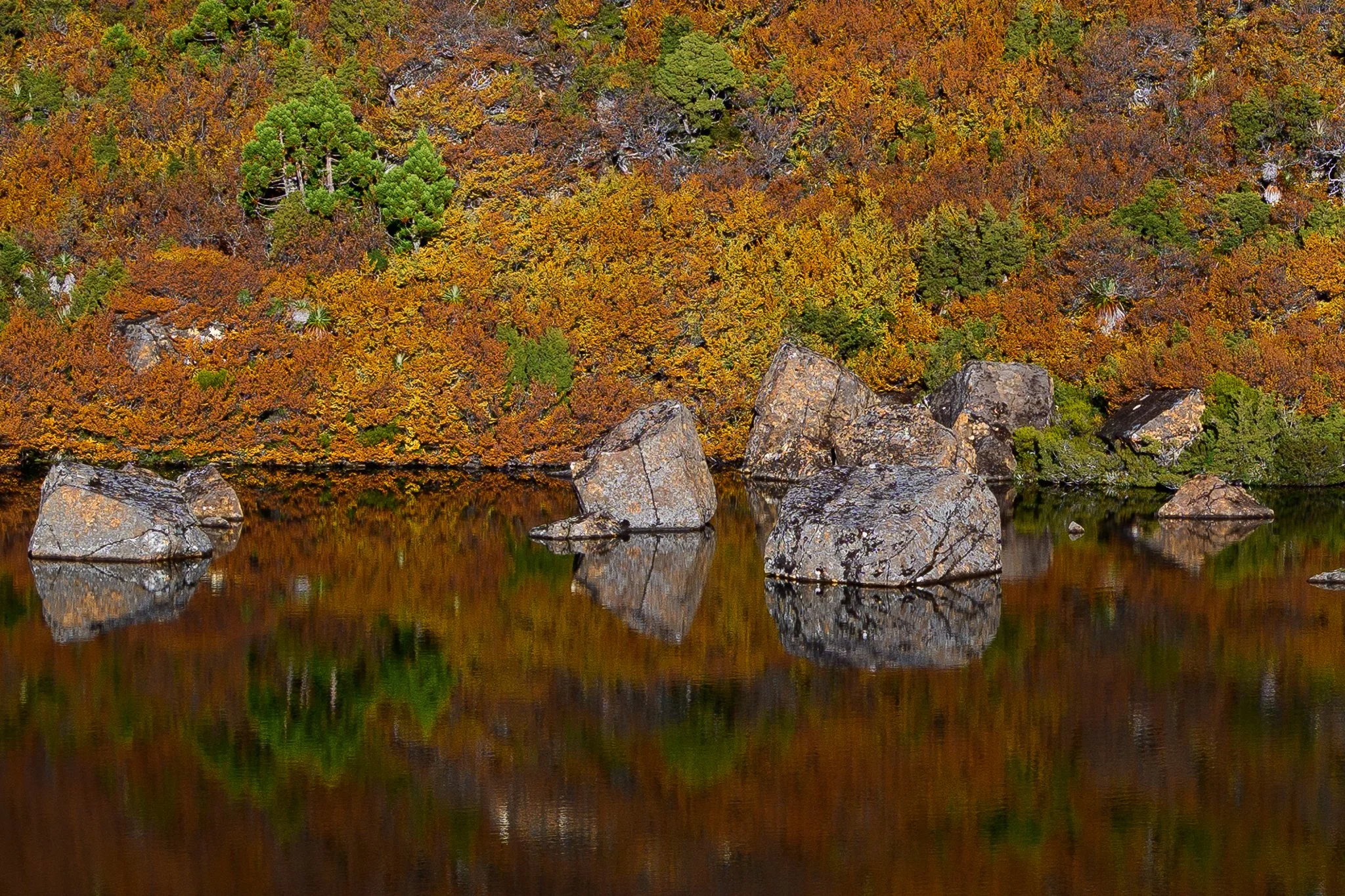 _Z726503.jpg