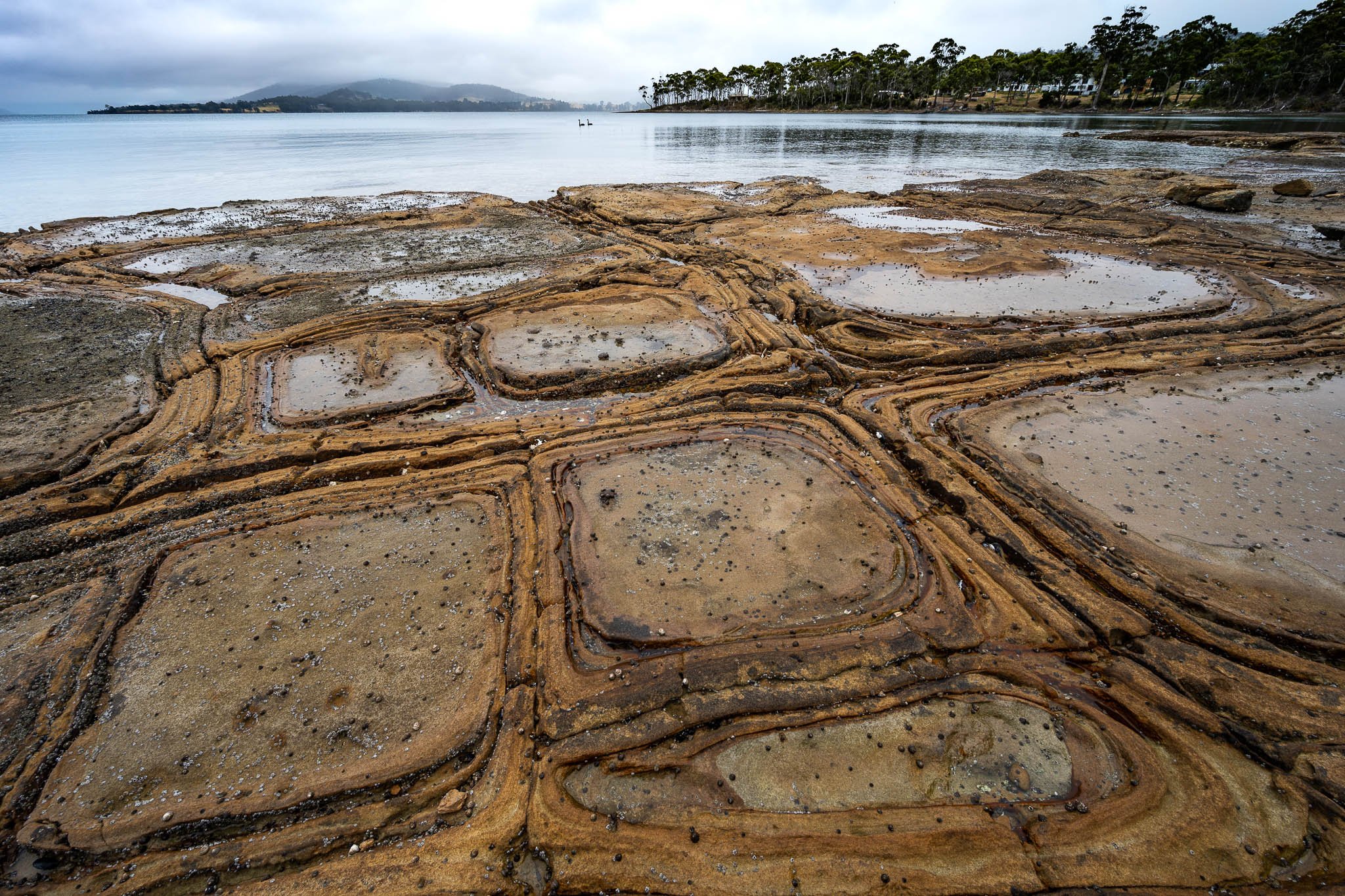 2026-02-07 22-35-04 (B,R8,S4).jpg