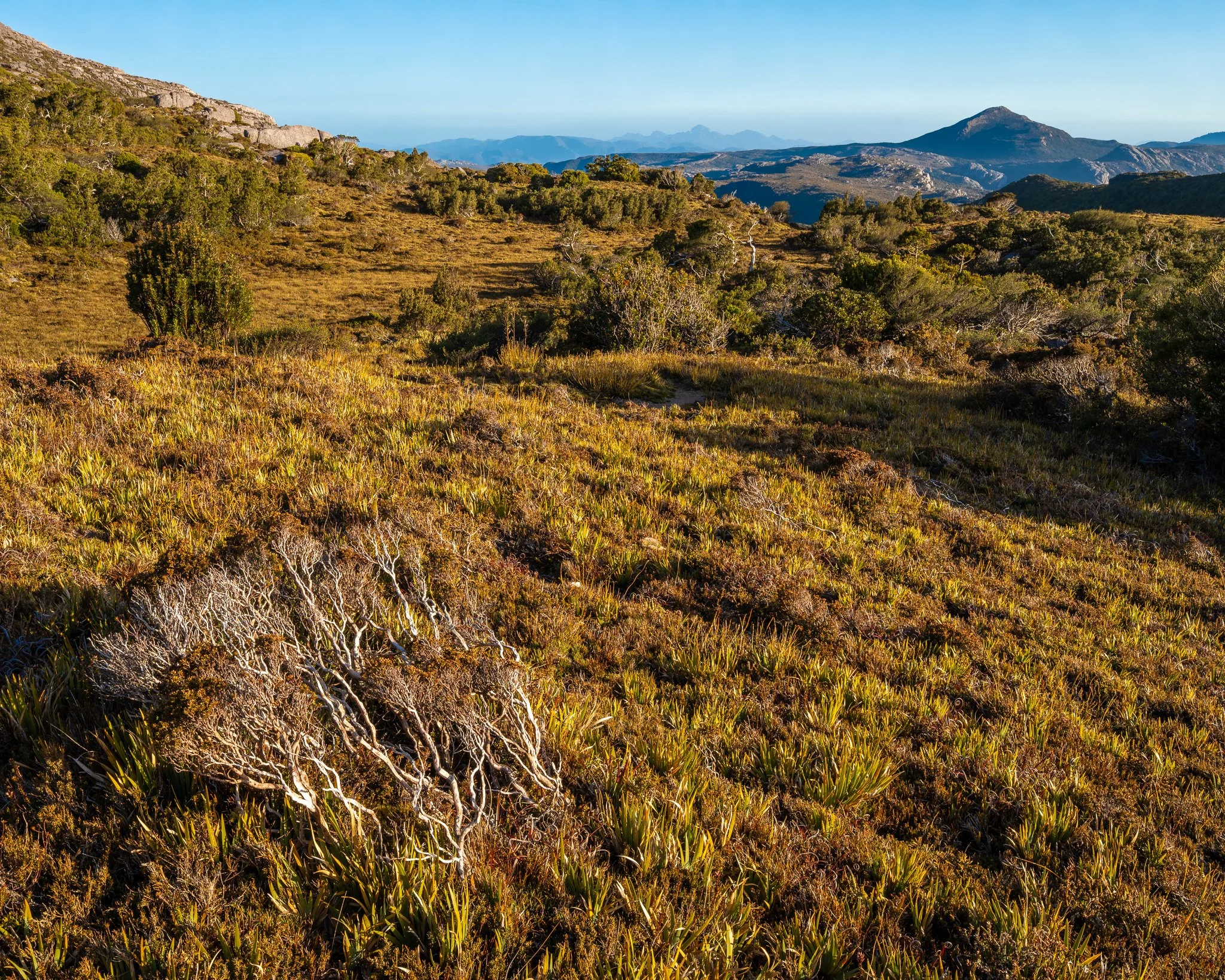 2025-12-12 19-06-29 (B,R8,S4).jpg