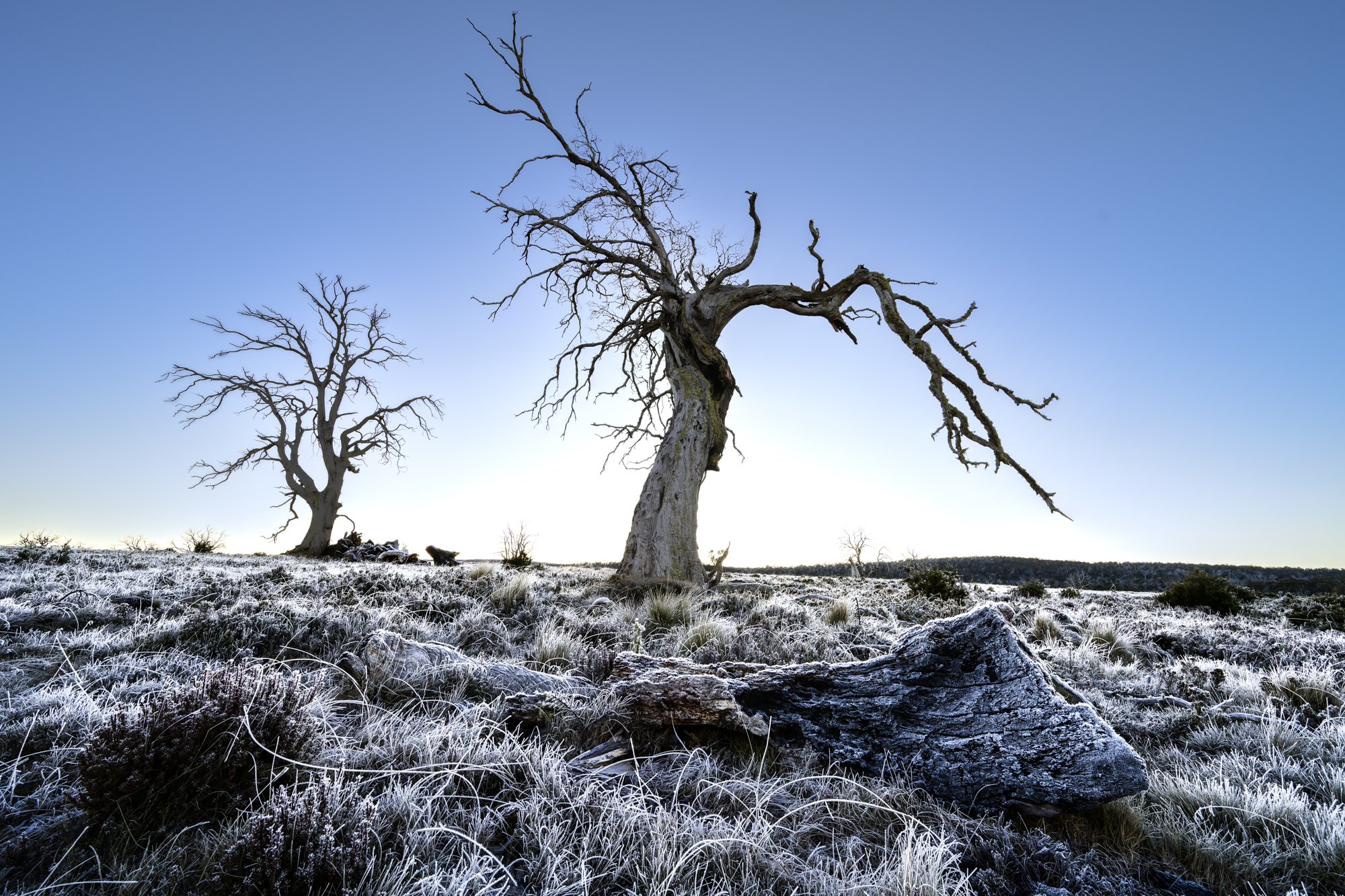_Z729167-Edit.jpg