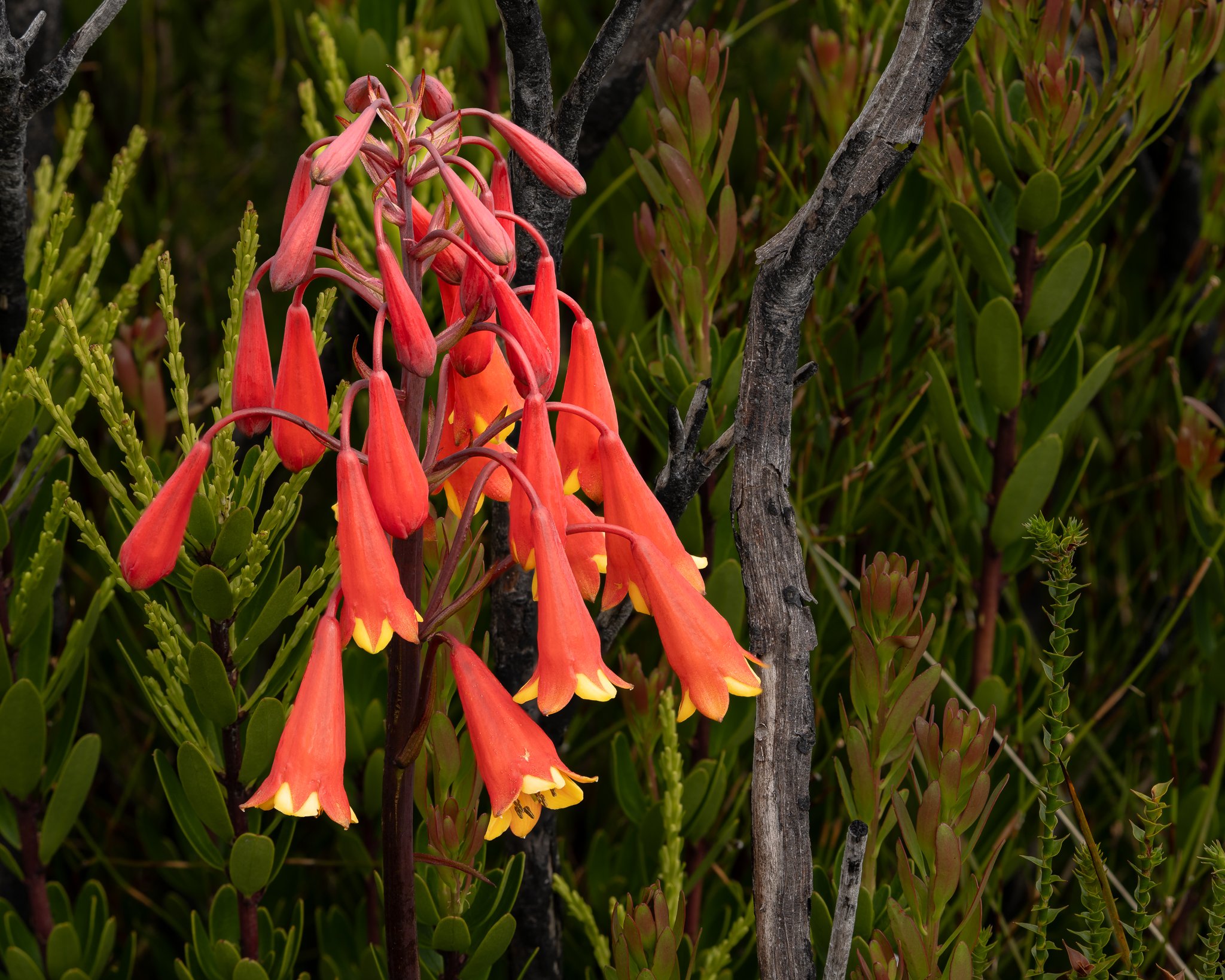 2026-01-13 19-39-52 (B,R8,S4).jpg