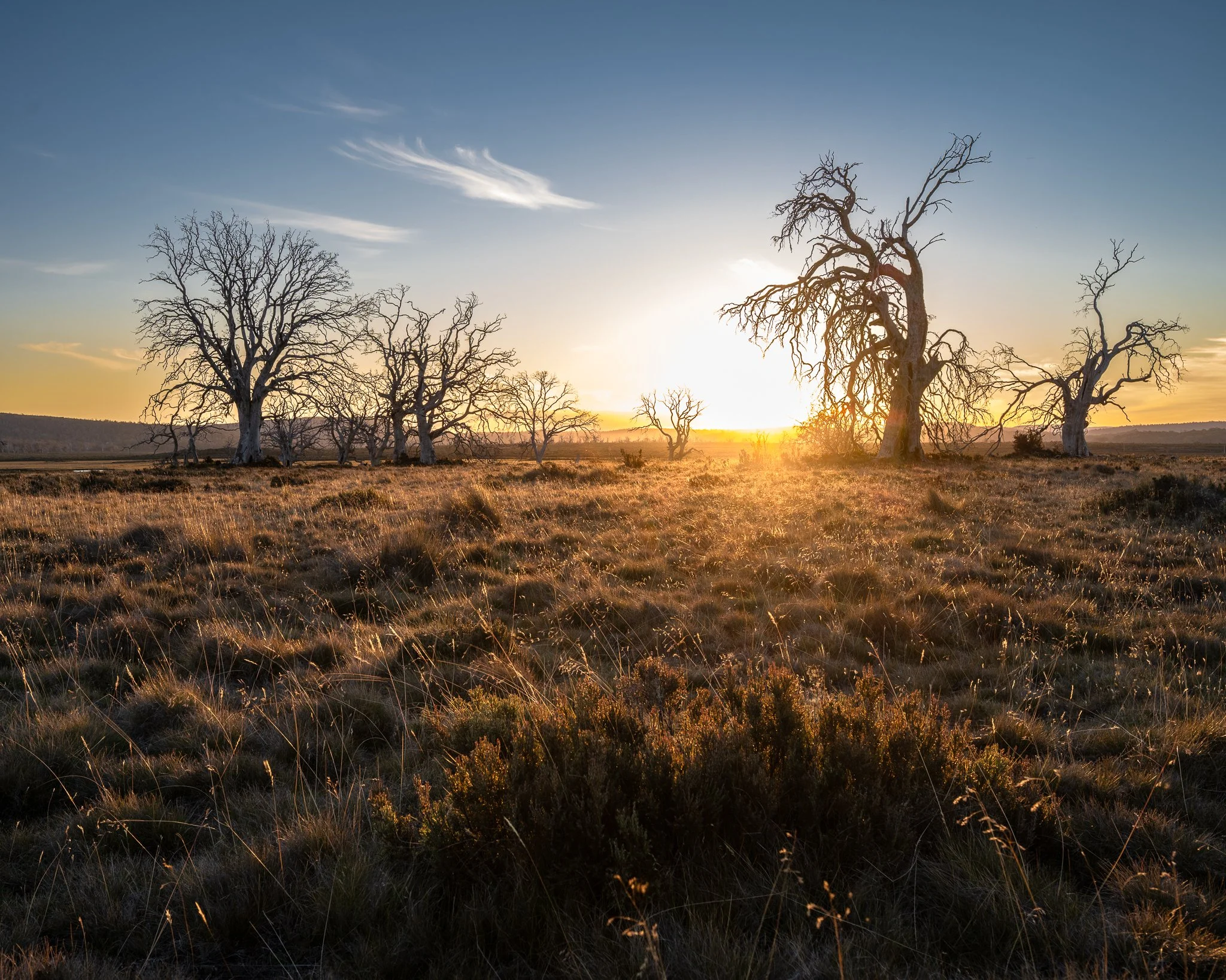 2026-02-28 17-37-21 (B,R8,S4).jpg