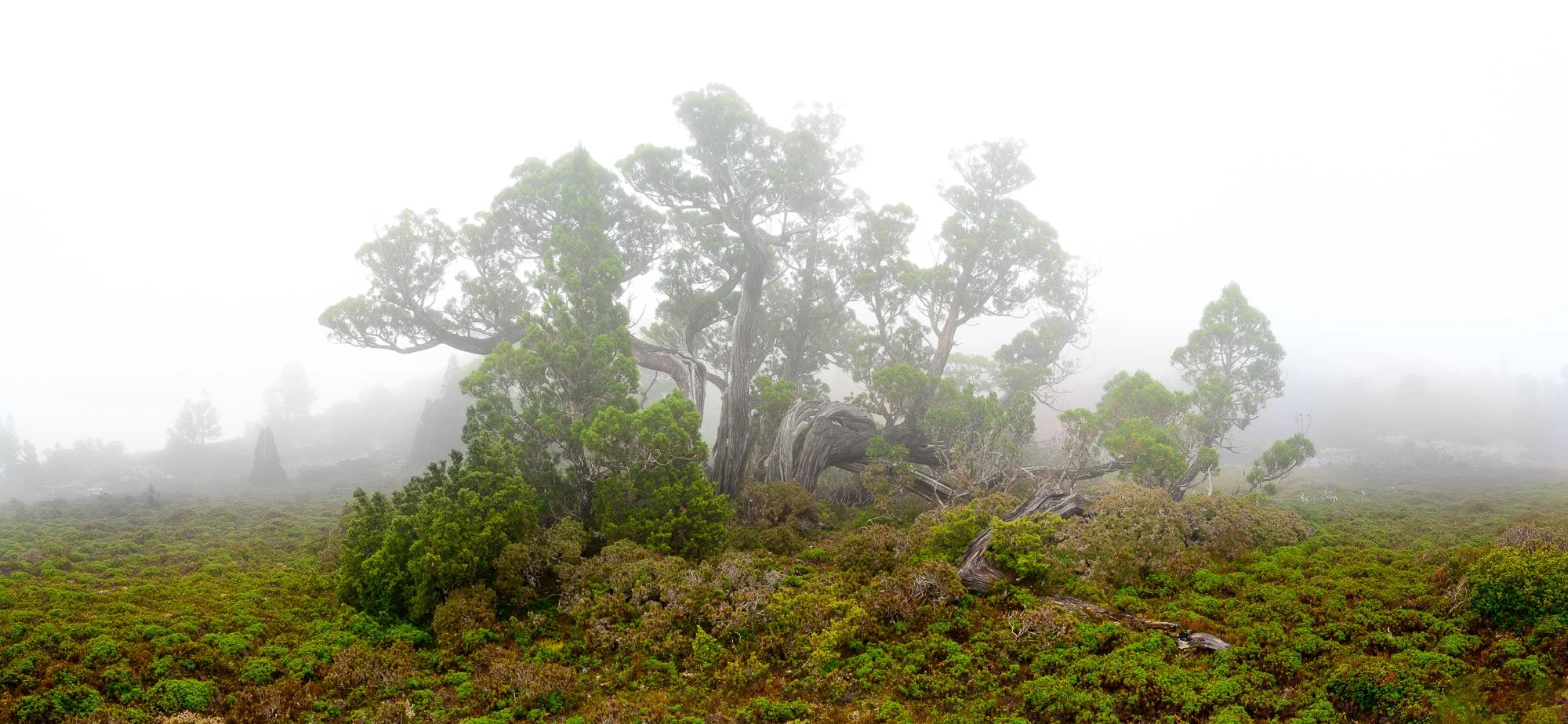 _Z727984-Pano.jpg
