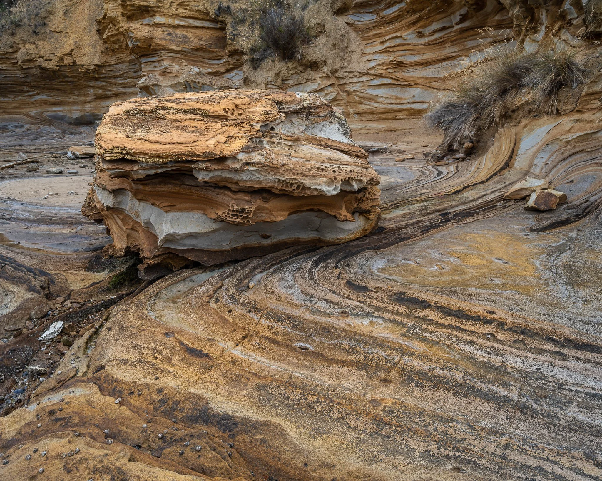 2026-02-07 21-44-36 (B,R8,S4).jpg