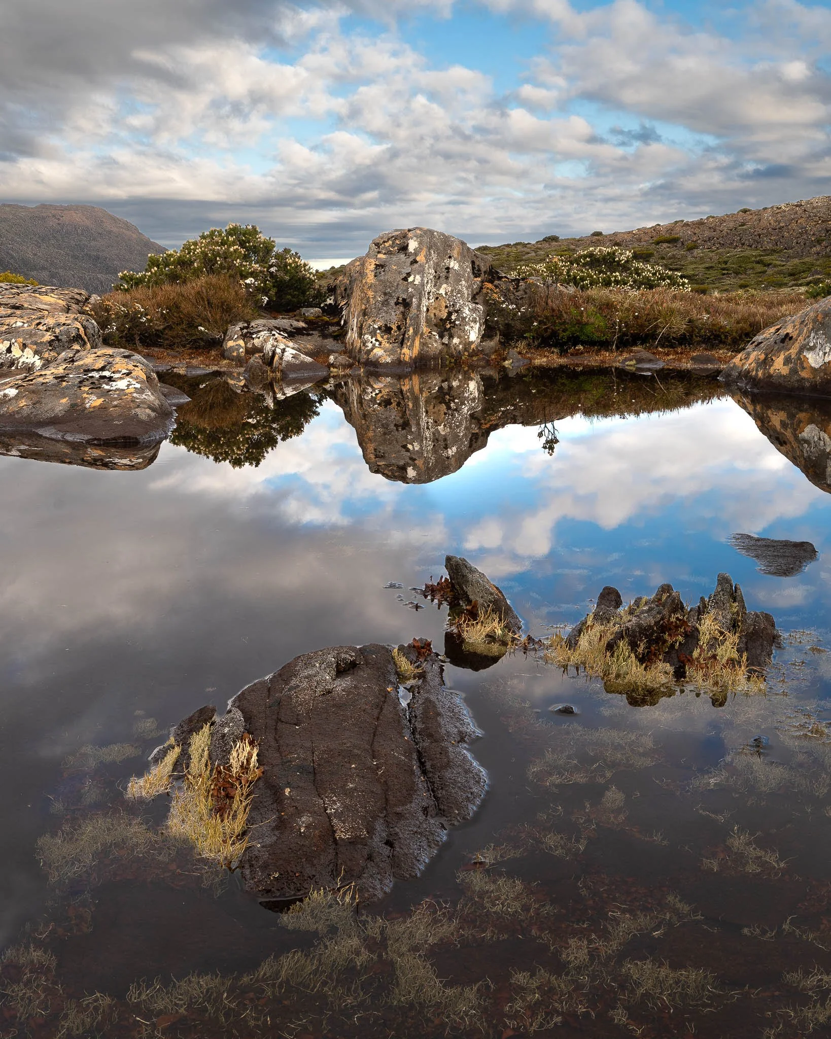 2026-01-20 17-14-36 (B,R8,S4).jpg