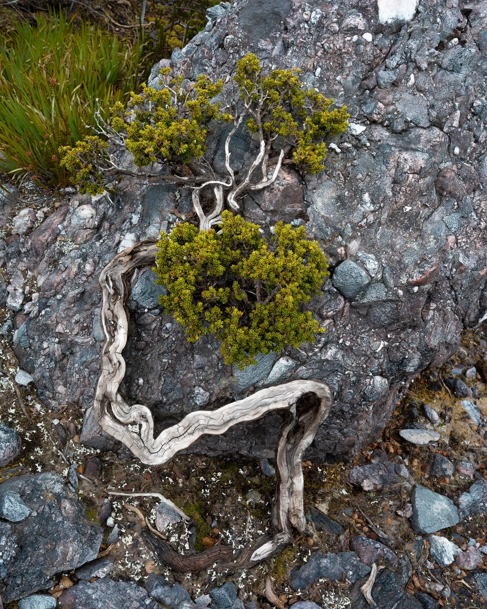 2025-12-12 20-21-39 (B,R8,S4).jpg