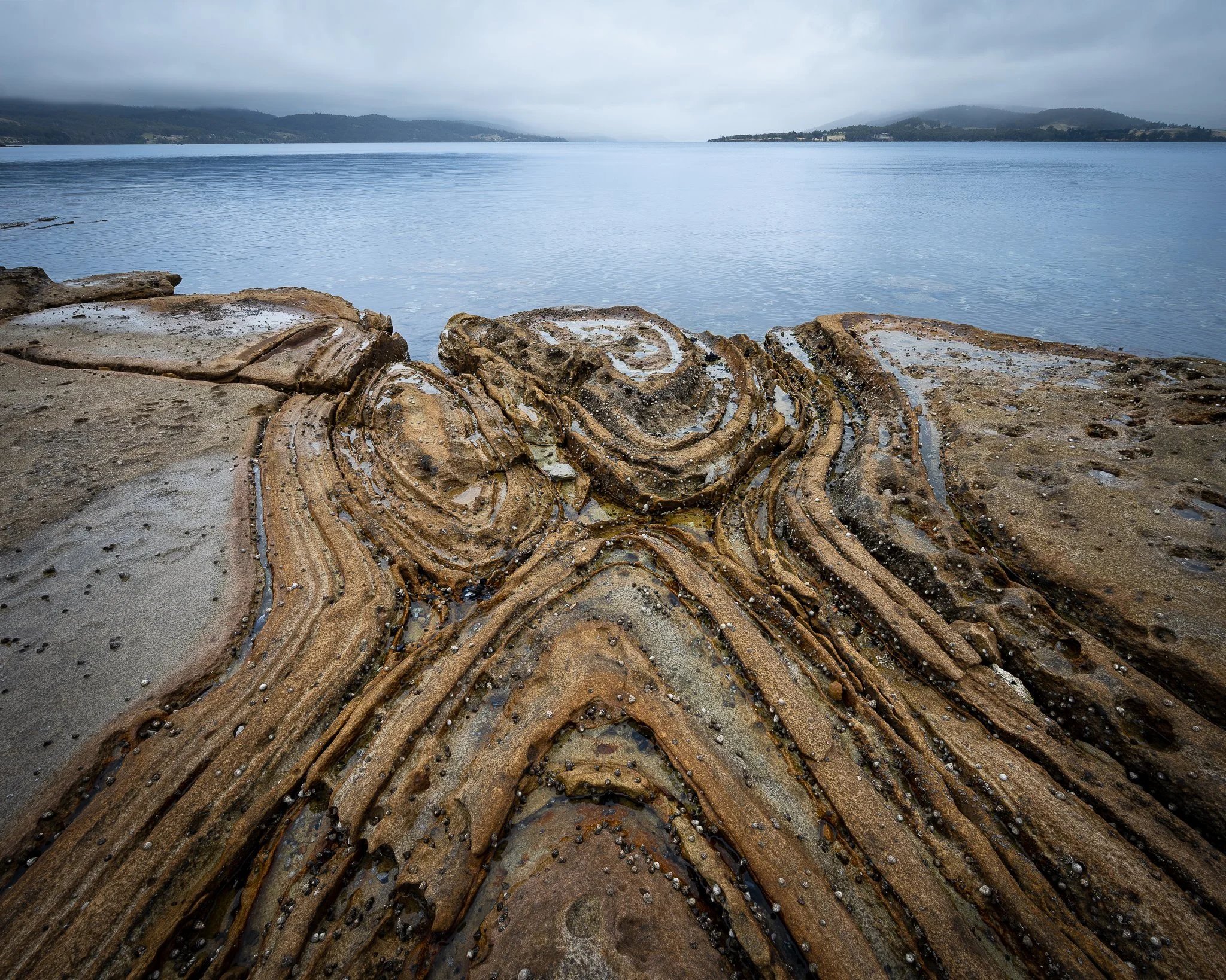 2026-02-08 19-09-39 (B,R8,S4).jpg