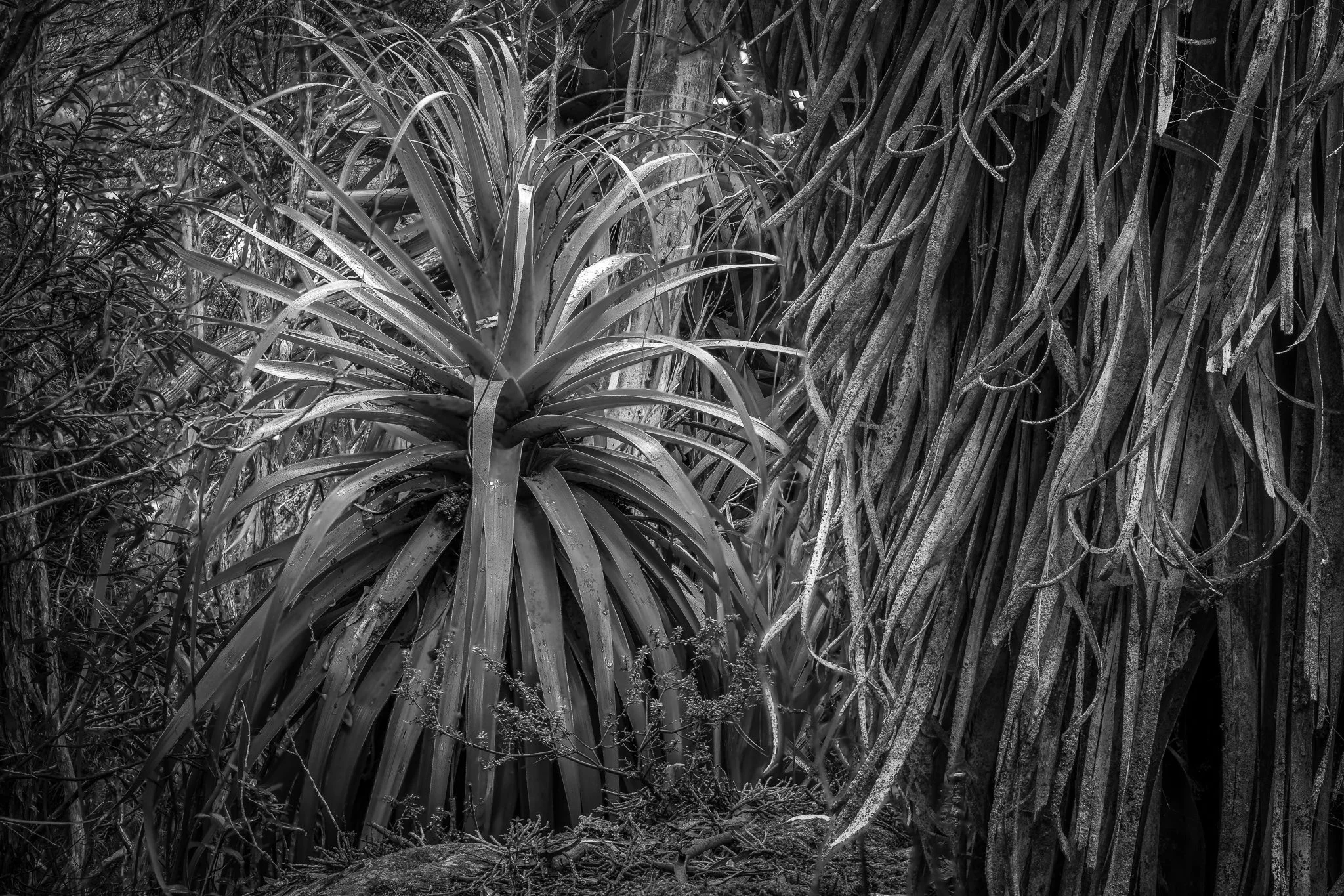 2024-04-11 16-54-14 (B,R8,S4).jpg