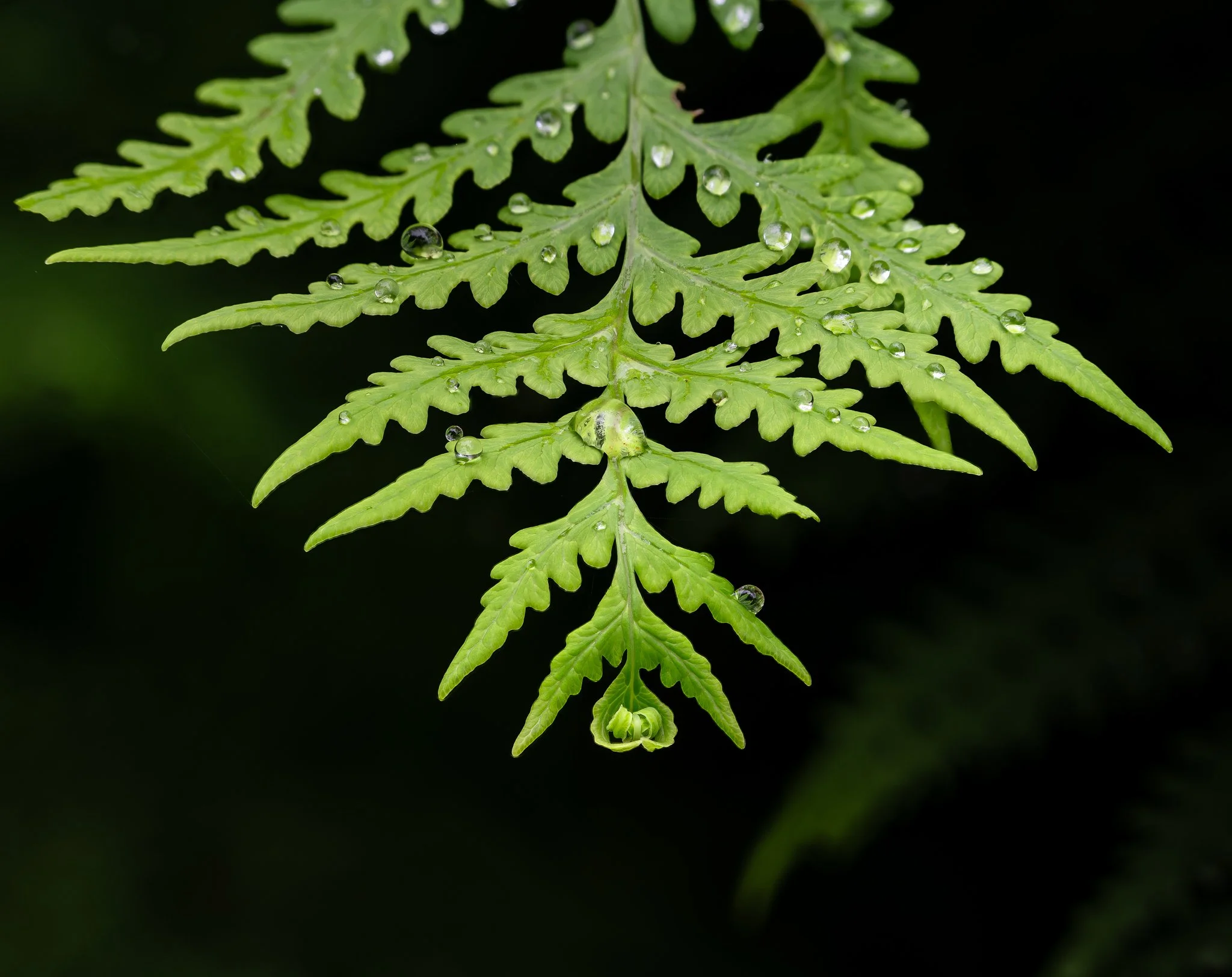 2026-02-08 20-50-14 (B,R8,S4).jpg