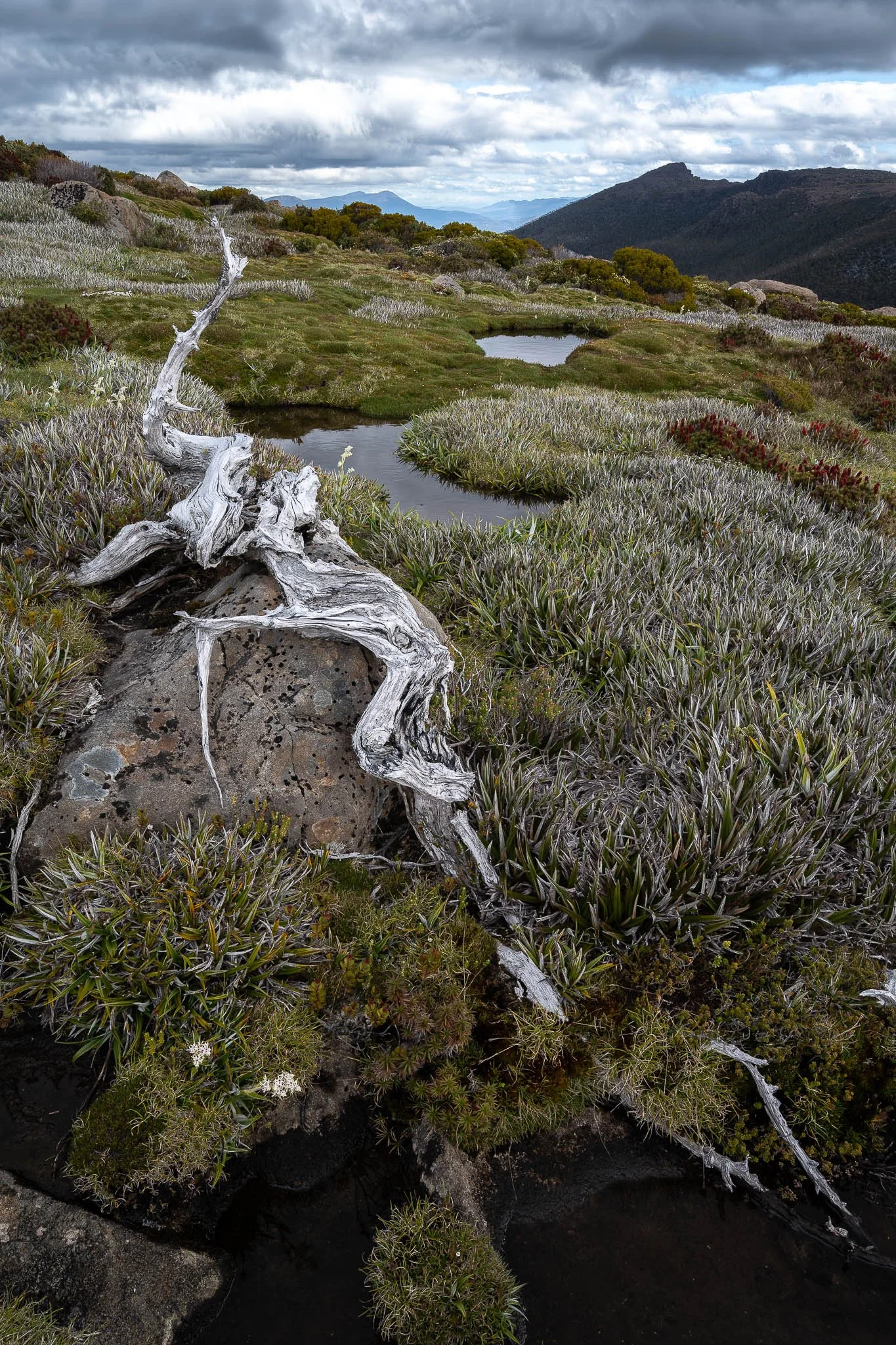 2026-01-20 21-13-20 (B,R8,S4).jpg