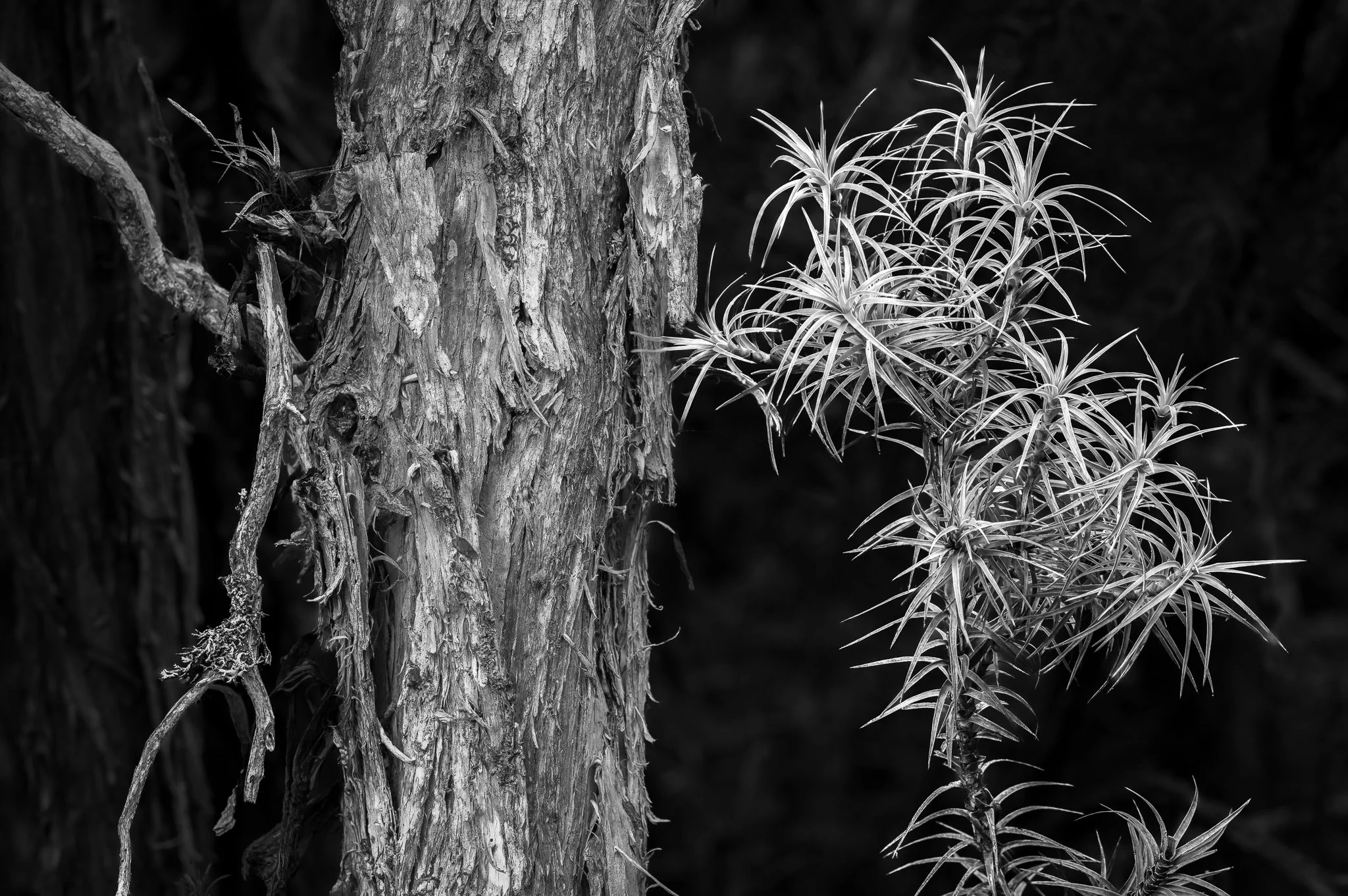 2024-04-11 17-59-03 (B,R8,S4).jpg