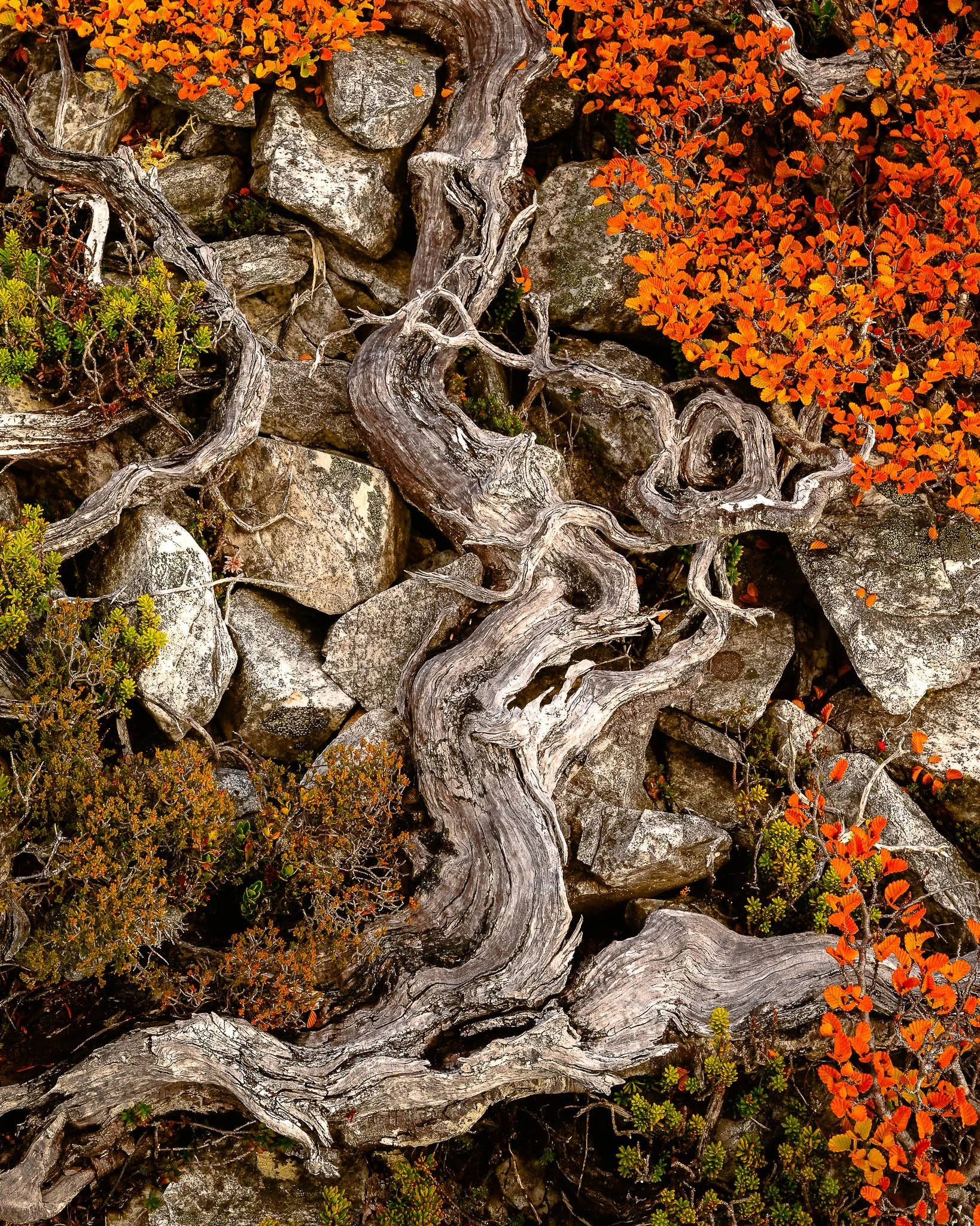 2025-04-24 15-40-14 (B,R8,S4).jpg