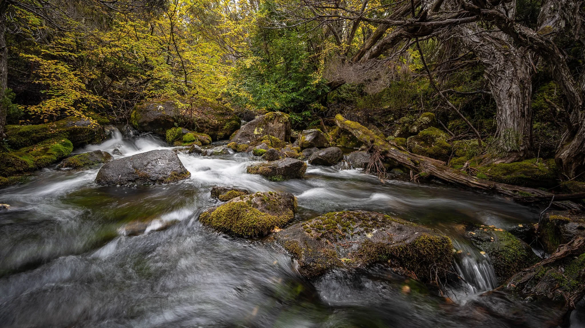 2026-01-23 21-37-22 (B,R8,S4).jpg