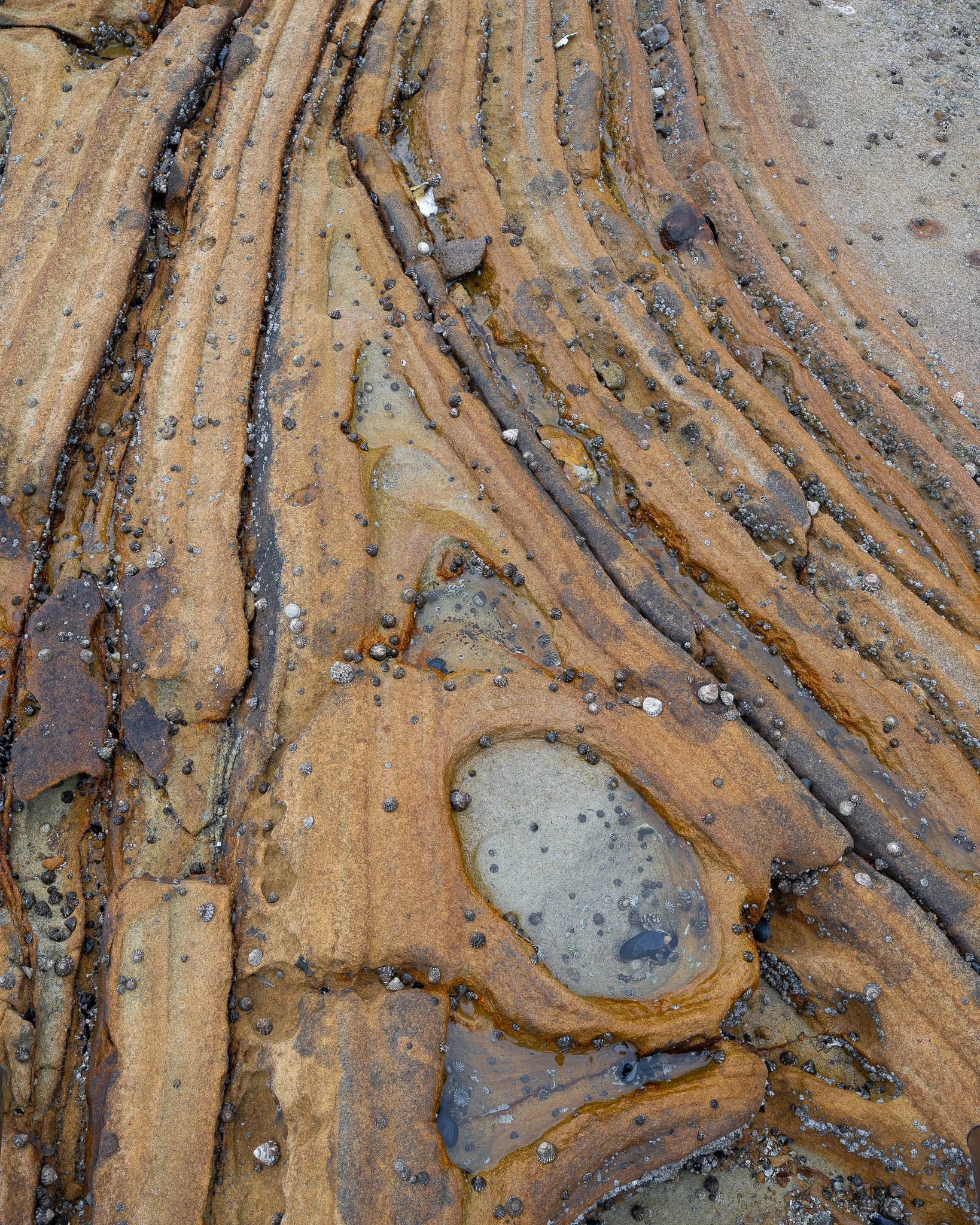 2026-02-07 22-28-25 (B,R8,S4).jpg