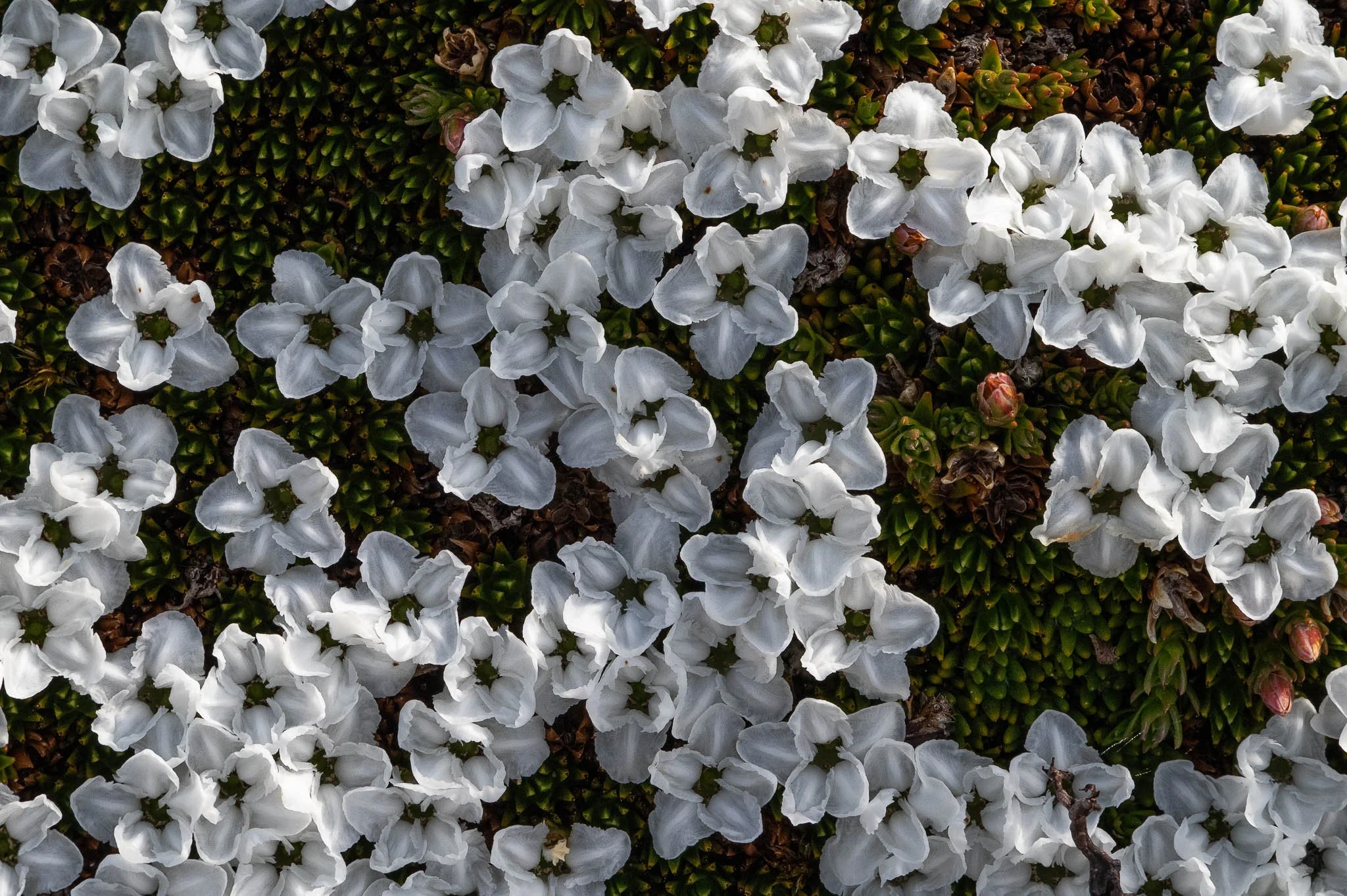 2026-01-20 20-34-49 (B,R8,S4).jpg