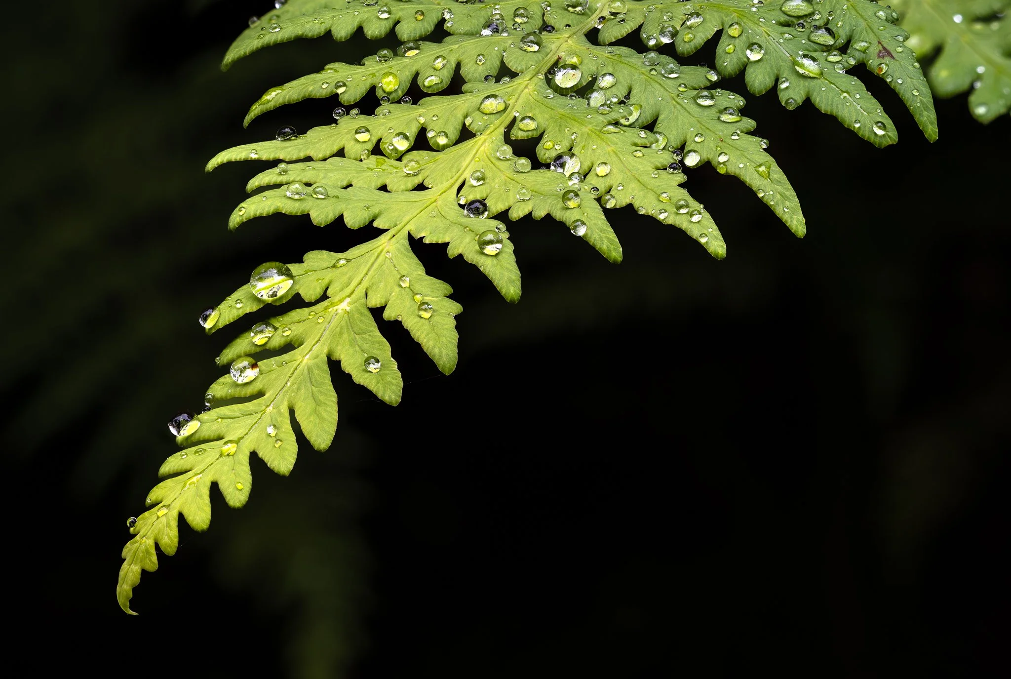 2026-02-08 21-02-58 (B,R8,S4).jpg