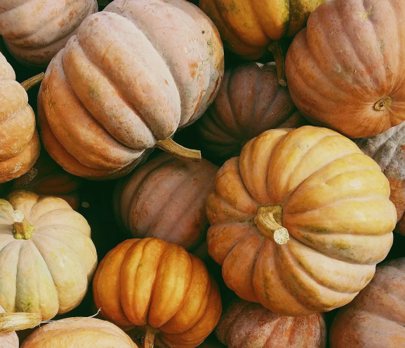 Falling Into Rythm: A Seasonal Reset