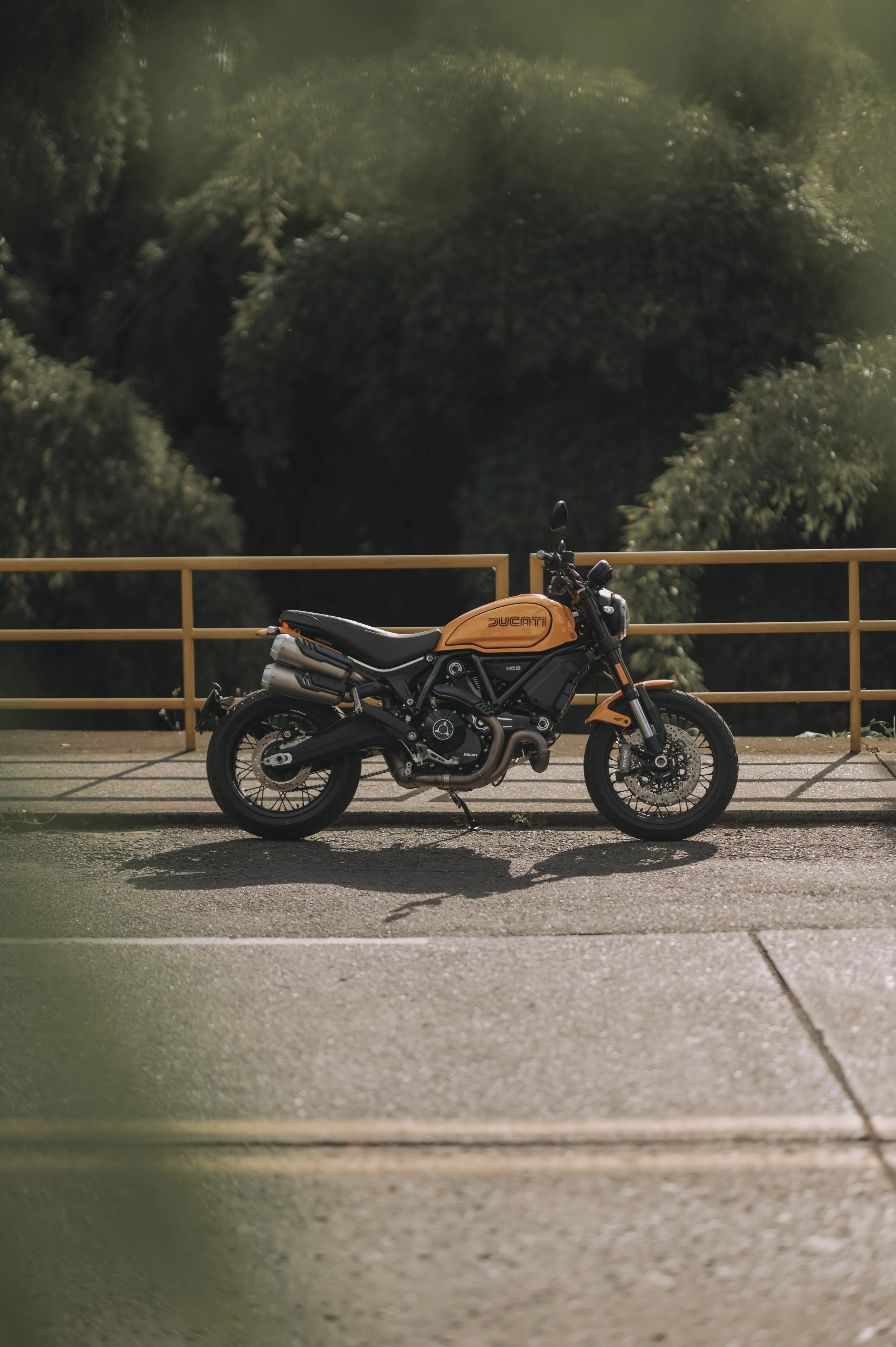 SCRAMBLER 1100 TRIBUTE PRO