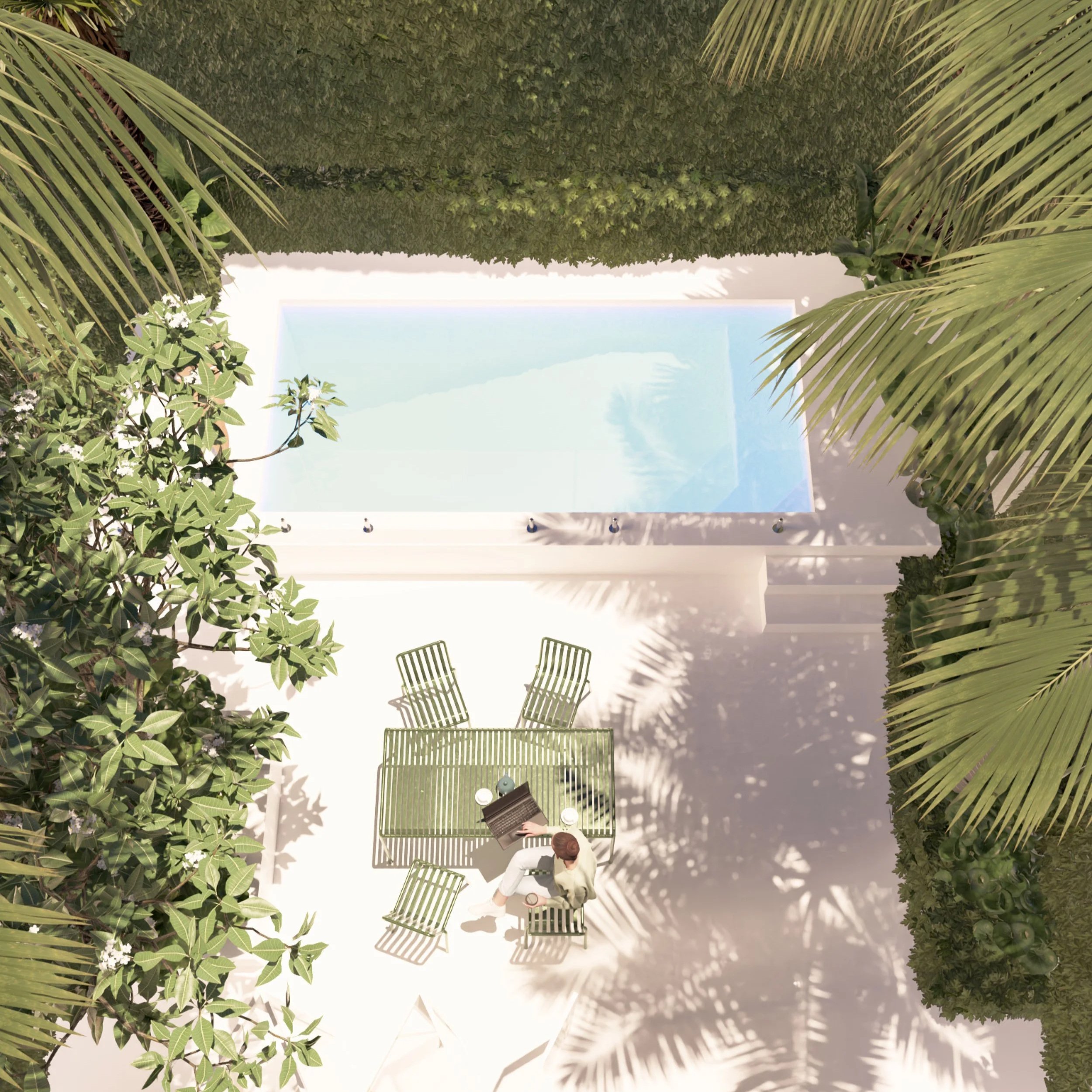 Overhead view of the Bondi rear garden looking north, showing the pool area framed by palms and walls covered with Boston ivy.