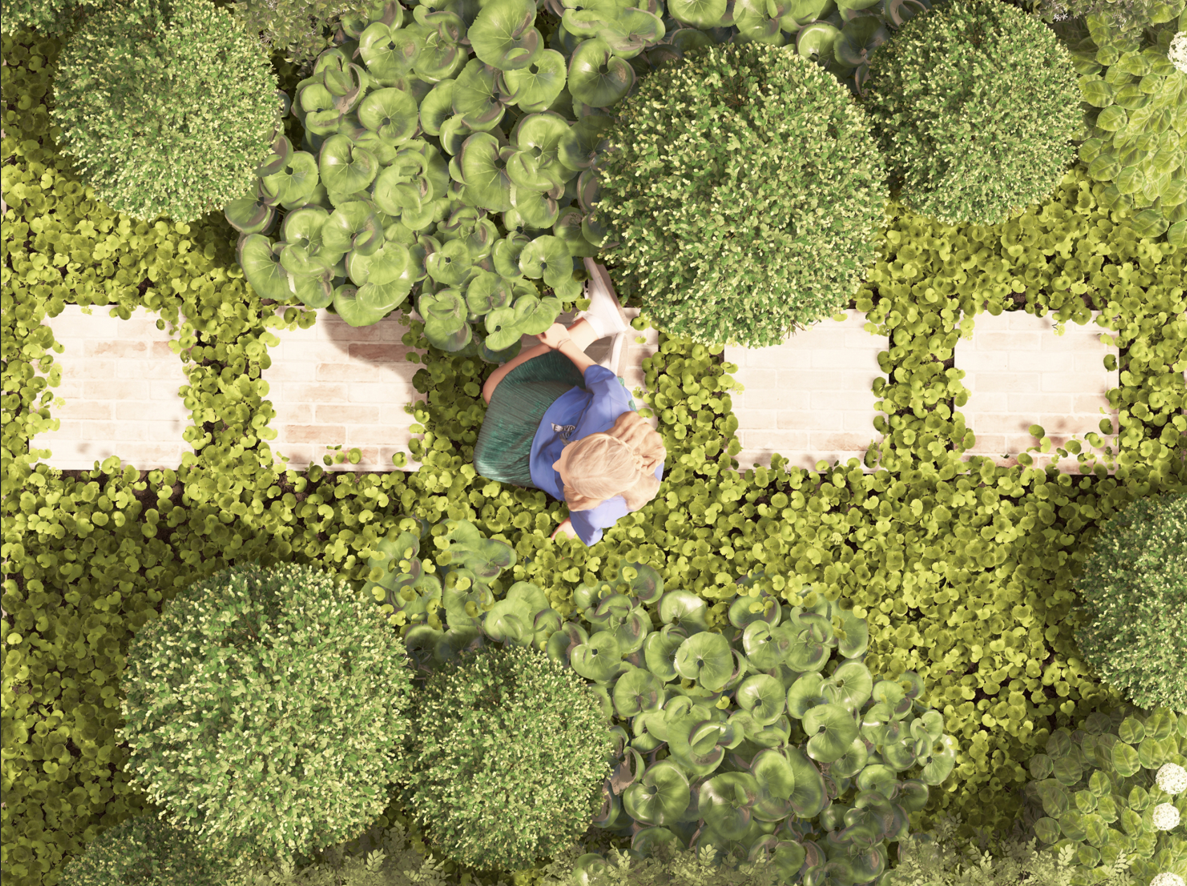 Overhead image of a girl sitting on recycled brick steppers with native violet spilling over the edges, Ligularia reniformis, and clipped Buxus topiary arranged around the path.