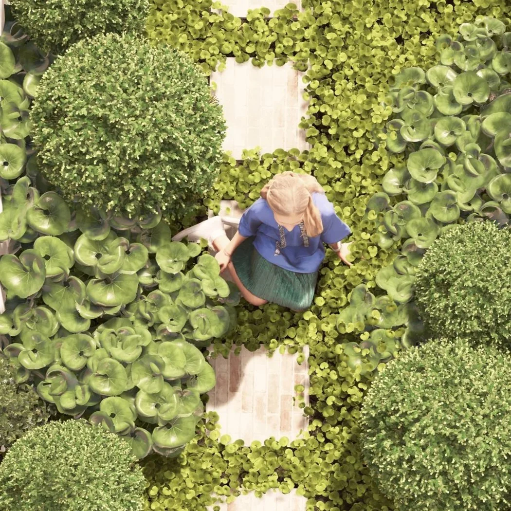 A top-down view of a young girl sitting on recycled brick steppers surrounded by native violet, Ligularia reniformis and clipped Buxus topiary.