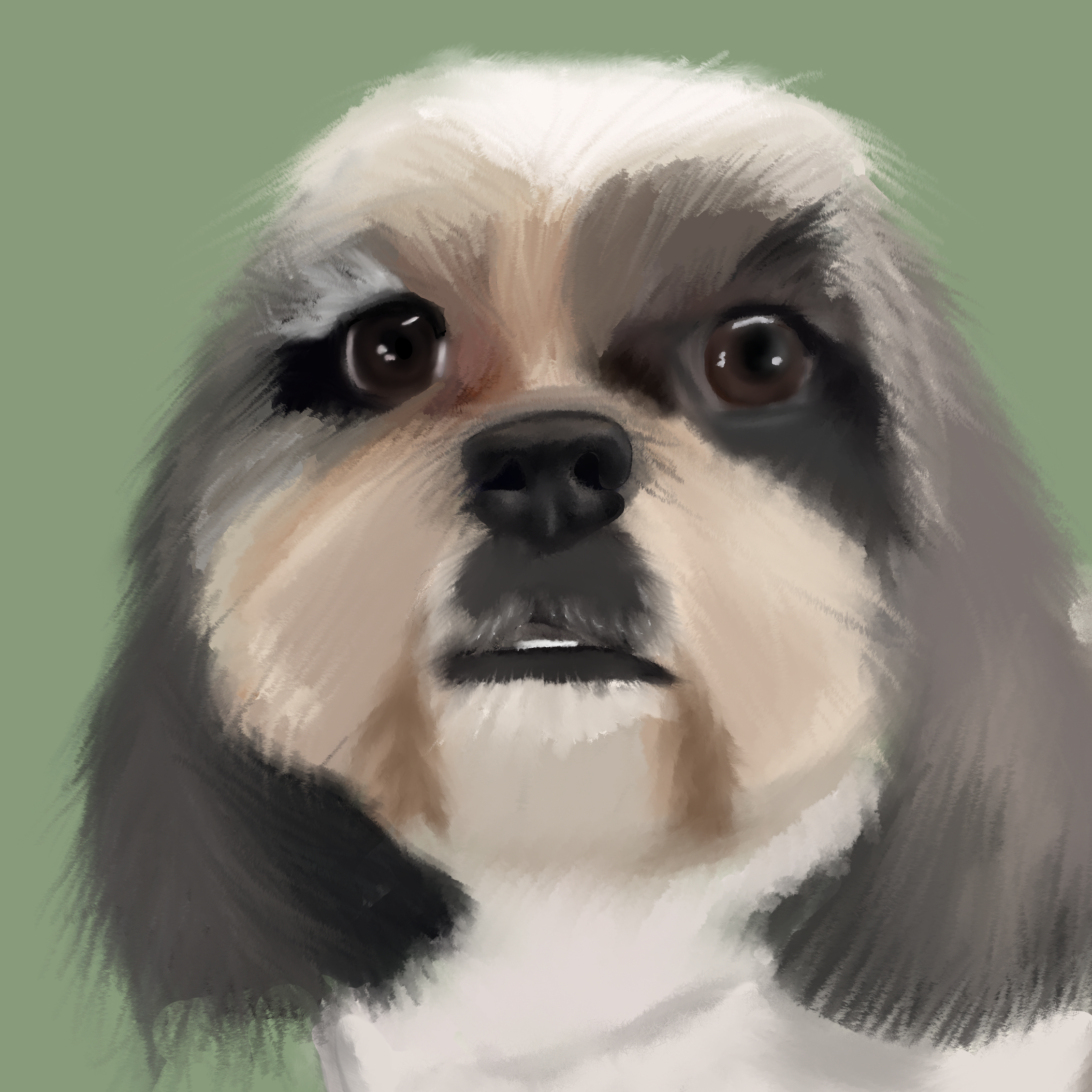 Ed'sDoggo copy 2.png