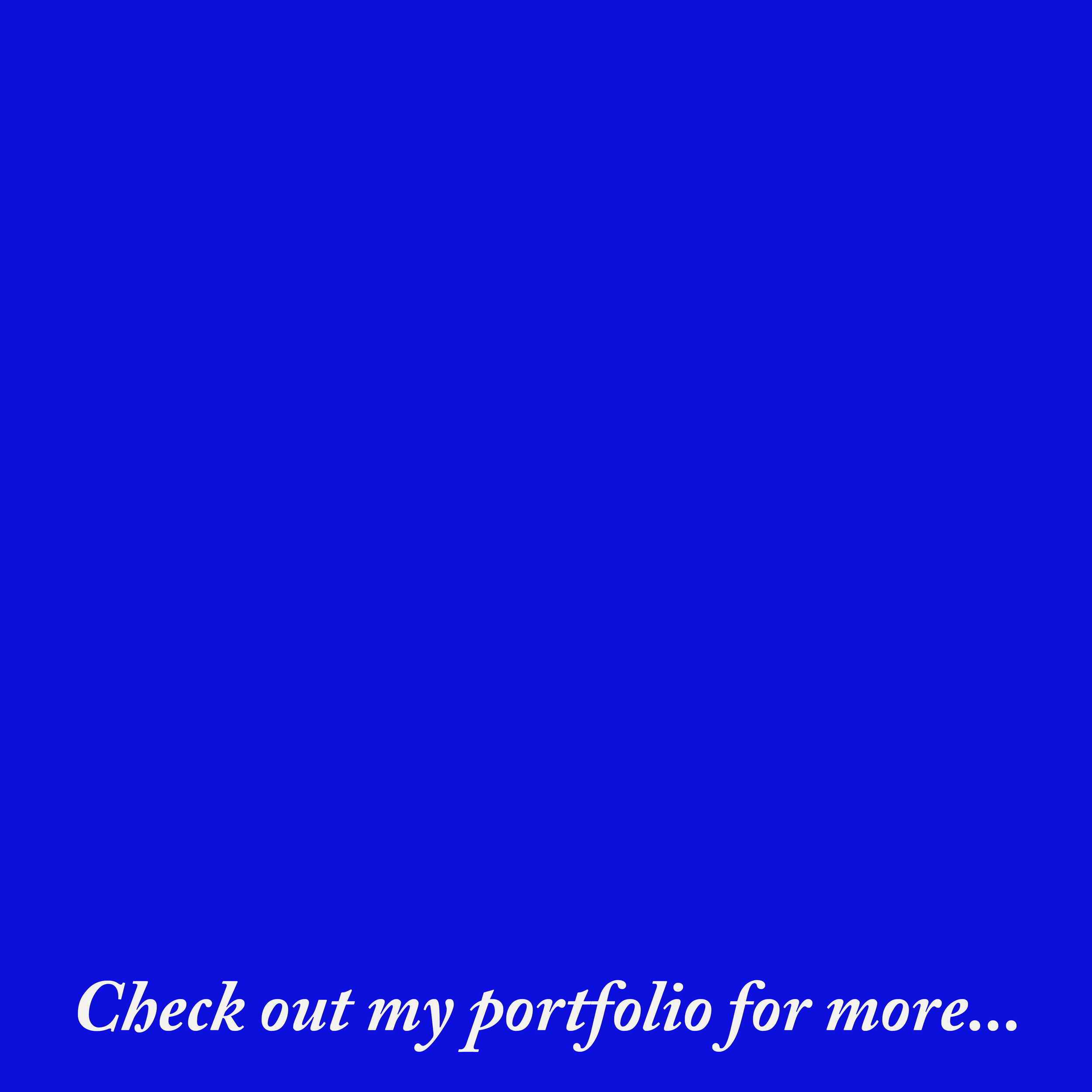 checkoutportfolio.png
