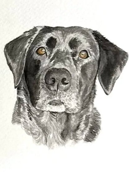 IMG_0519.jpg