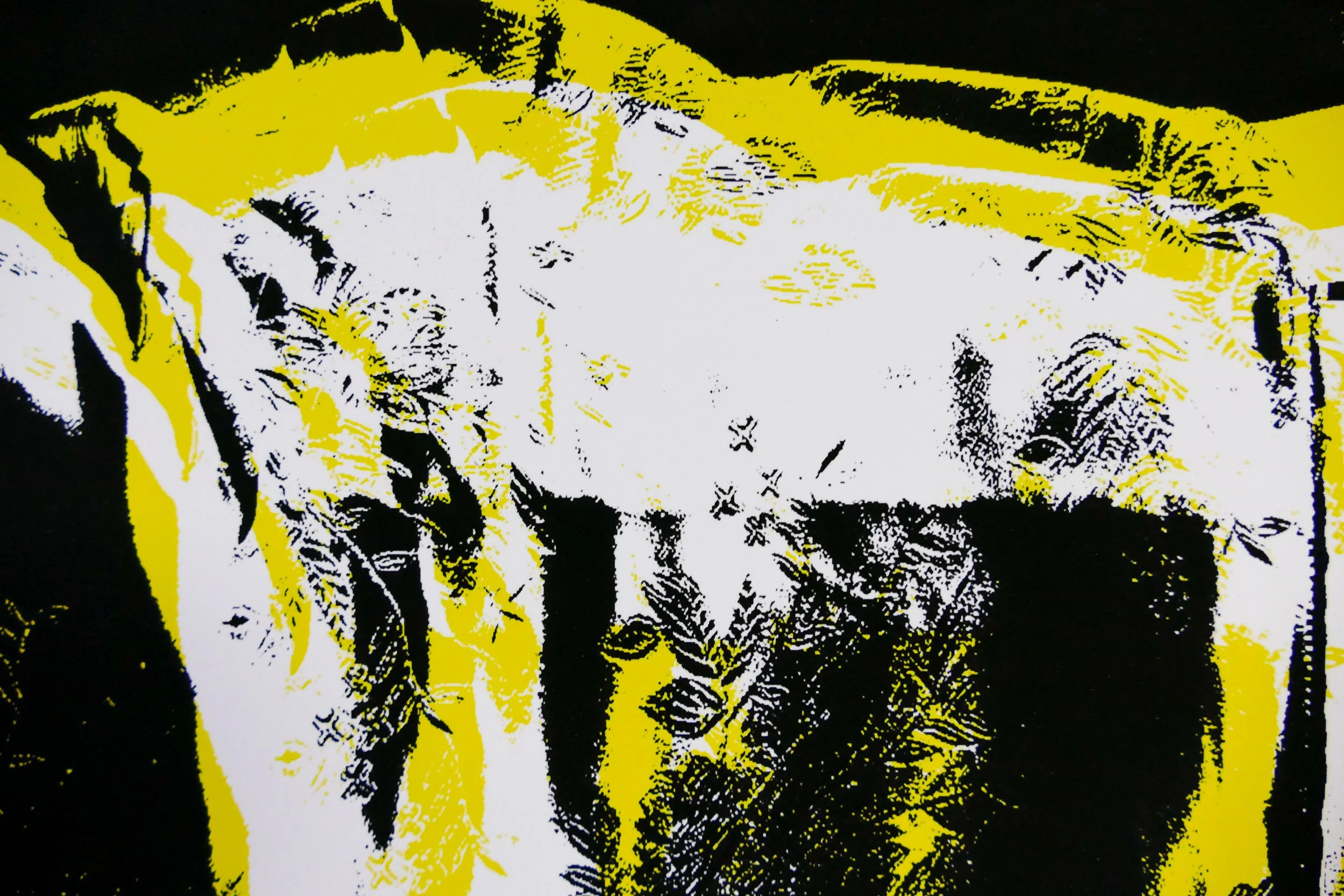Abstraktes Bild mit hoher Kontrast in Schwarz, Weiß und Gelb, das eine stilisierte, vielleicht blumenartige Form zeigt.