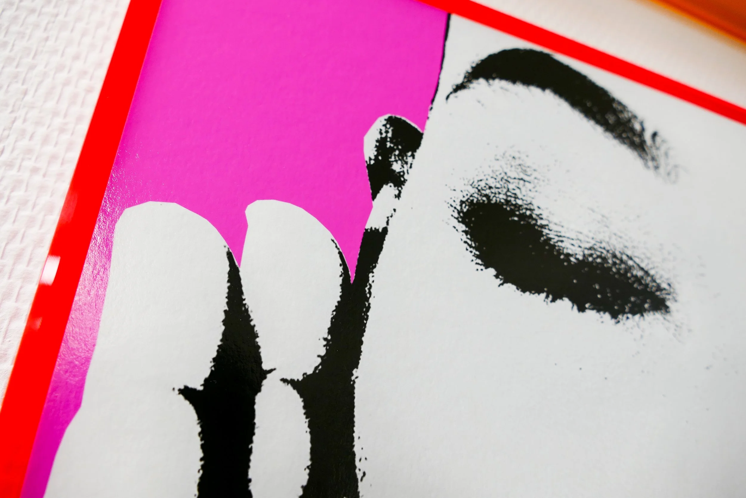 Nahaufnahme eines Buchcovers mit Schwarz-Weiß-Borstenbild einer Frau, pinkfarbenem Hintergrund und roter Umrandung.