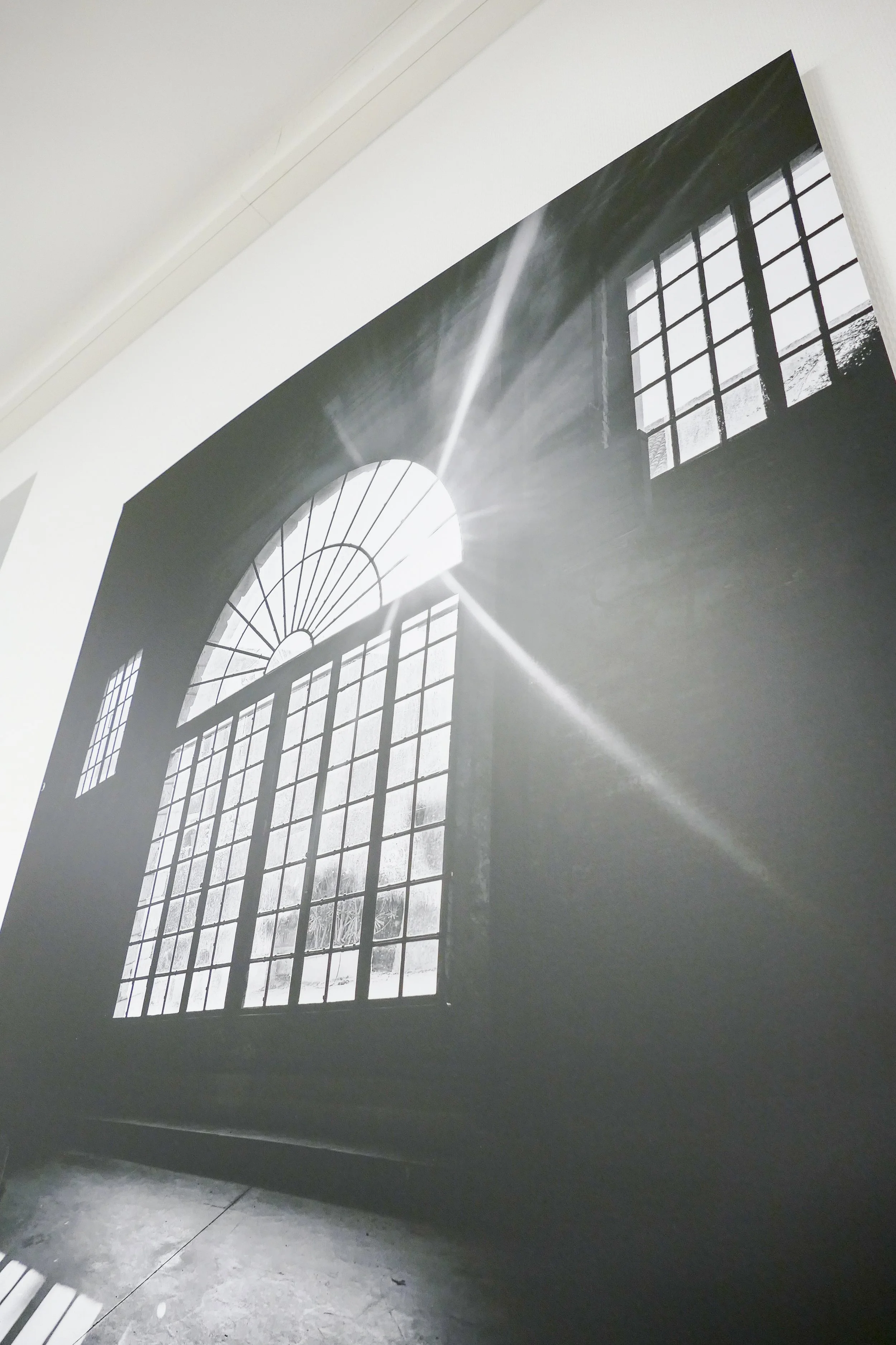 Schwarz-Weiß-Fotografie eines Fensters mit Sonnenstrahlen, die durch die Scheiben scheinen.