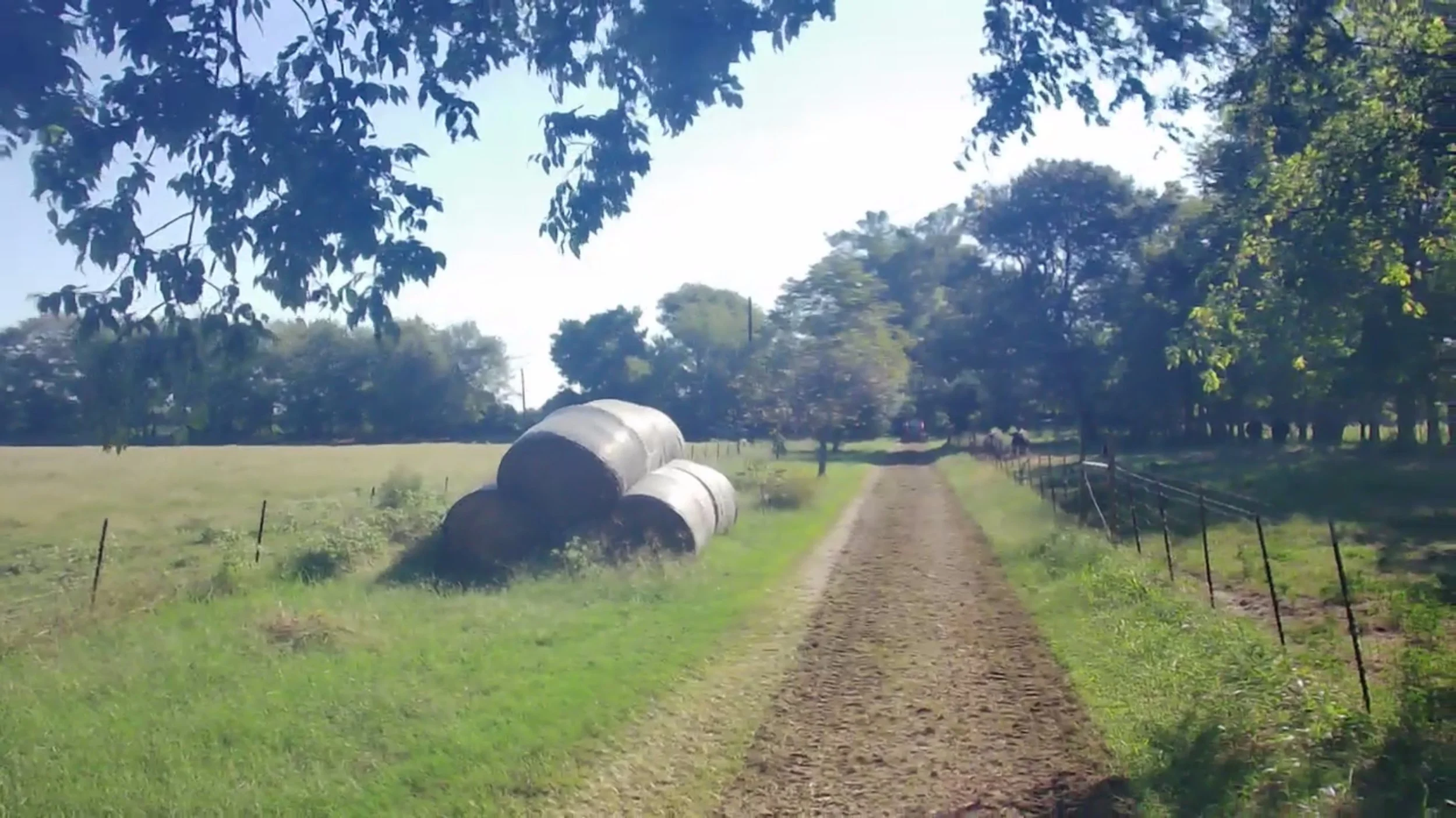 driveway, Ben Wheeler, East Texas, Dirt, Dirtwork, skid steer, gravel