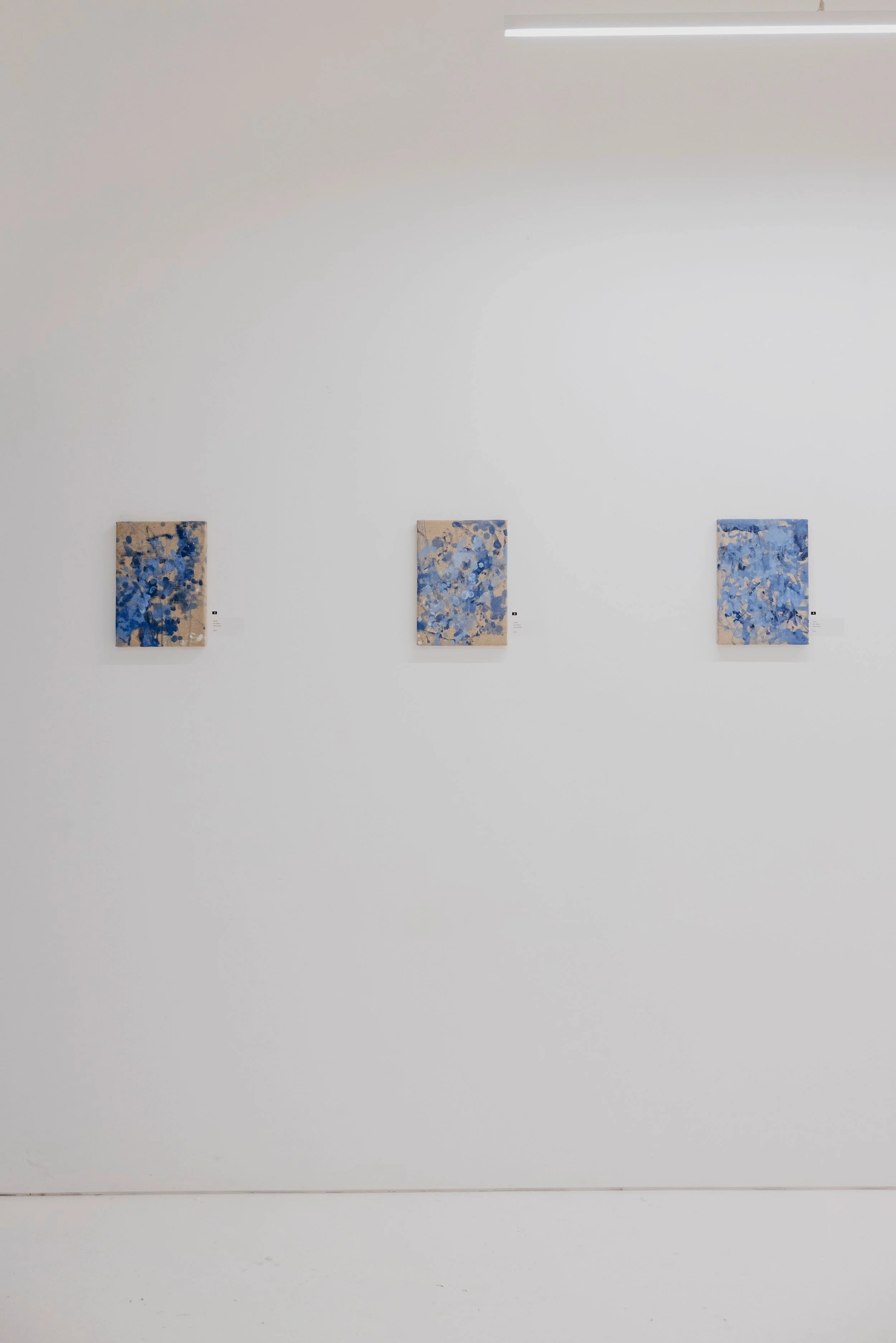 Temporal Gestures, Hake House of Art, 2023